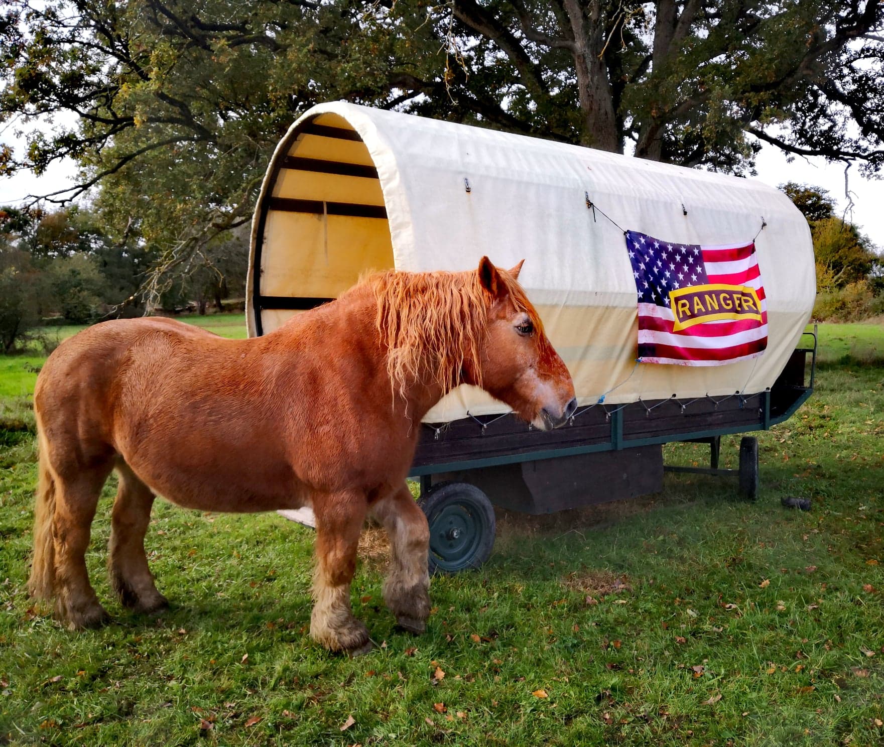 Le chariot RANGER : une expérience insolite en Limousin à Saint Martial Sur Isop — vue intérieure