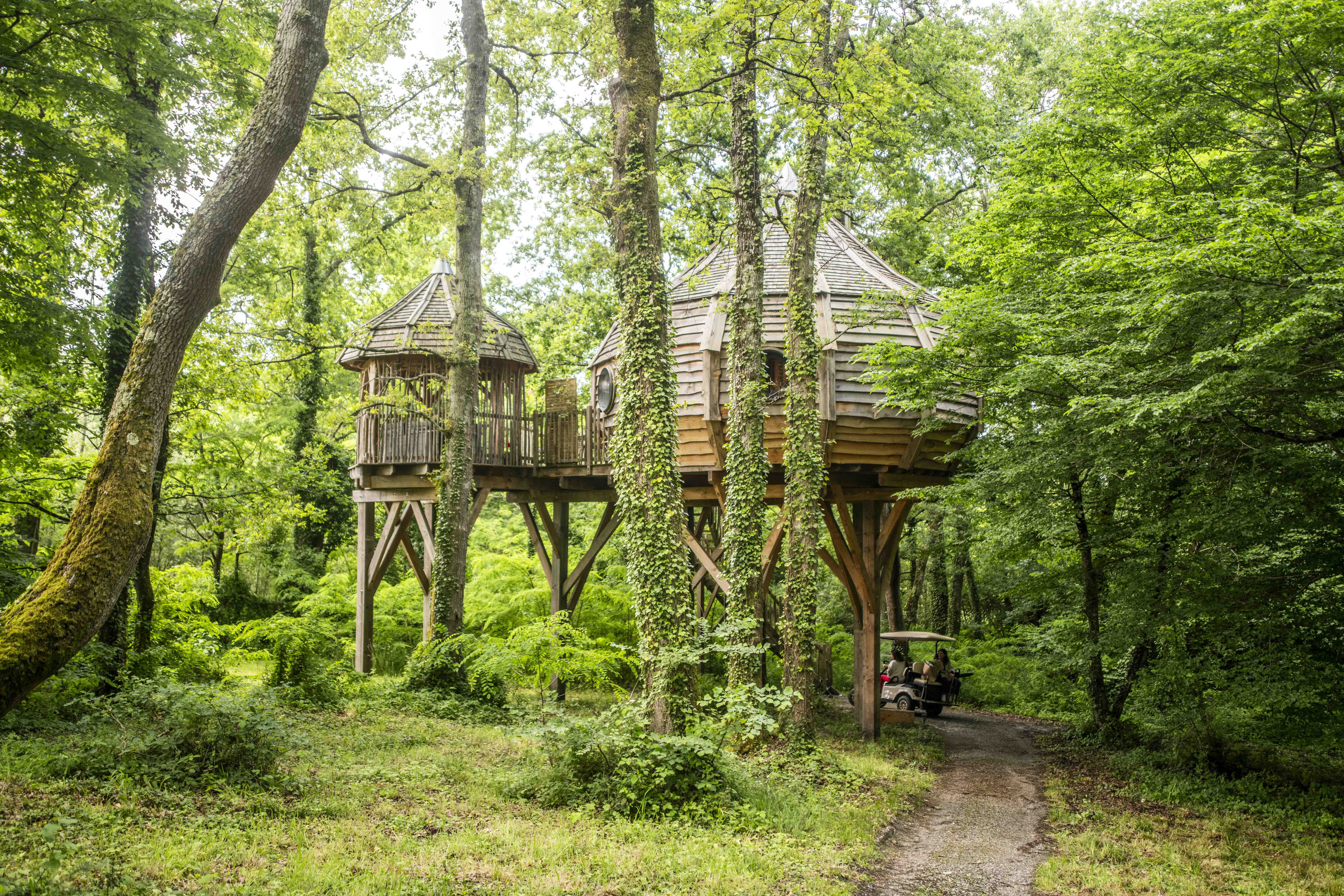 La Cabane la Vigne & Spa : une évasion dans les arbres à Martillac — environnement naturel
