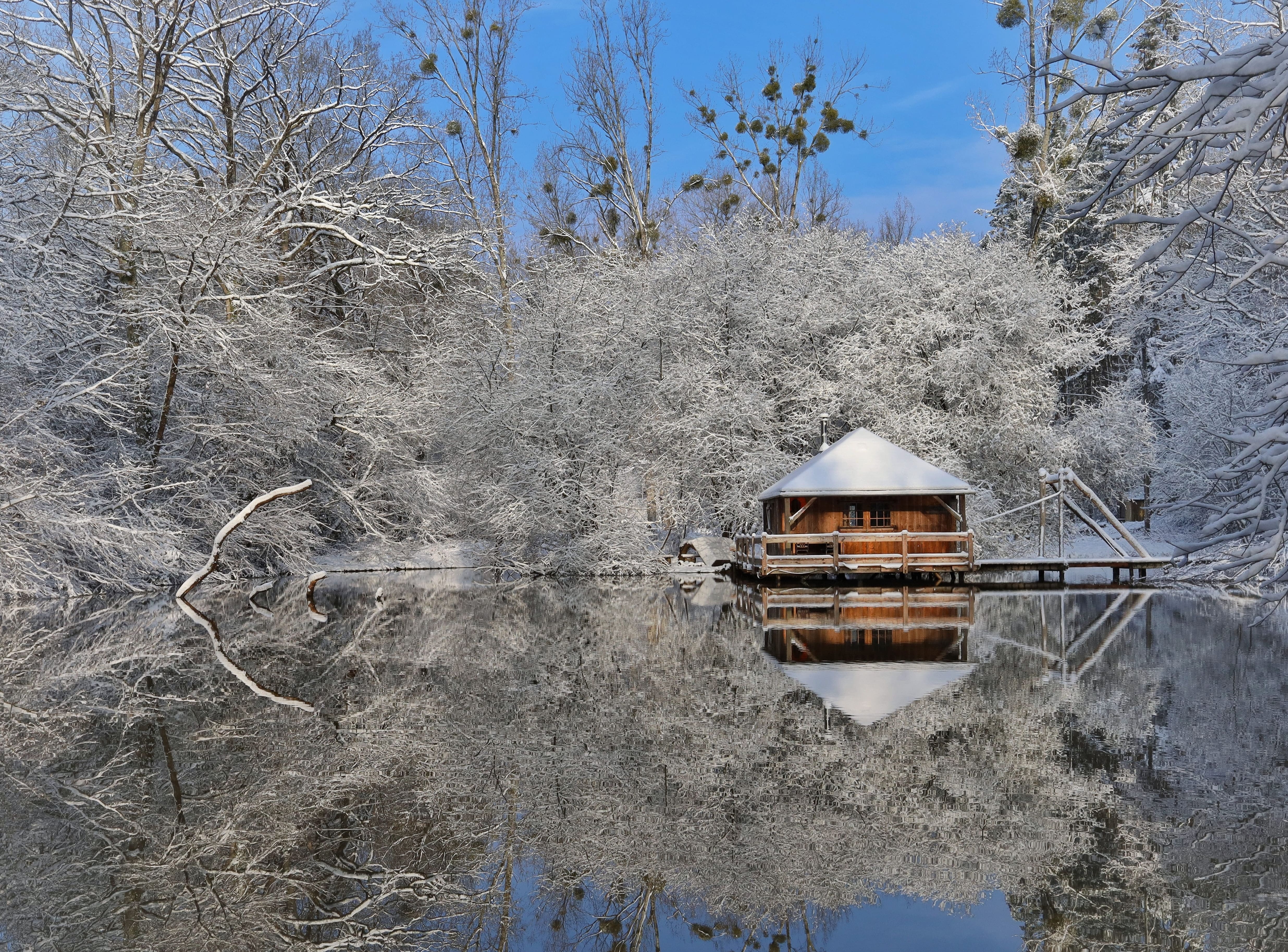 Cabane Martin-Pêcheur — Nuit sur pilotis à 8m en Mayenne à La Chapelle-Anthenaise — détail architectural