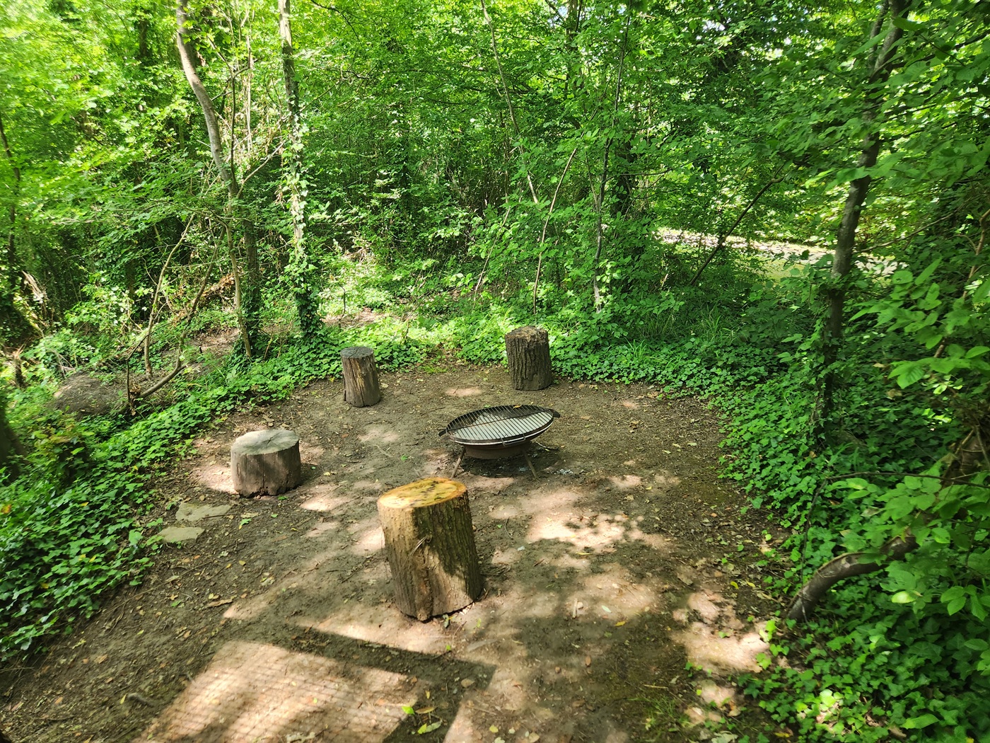 Cabane Spa Reflets Bleus : une évasion en Picardie à St-Léger-Aux-Bois — environnement naturel