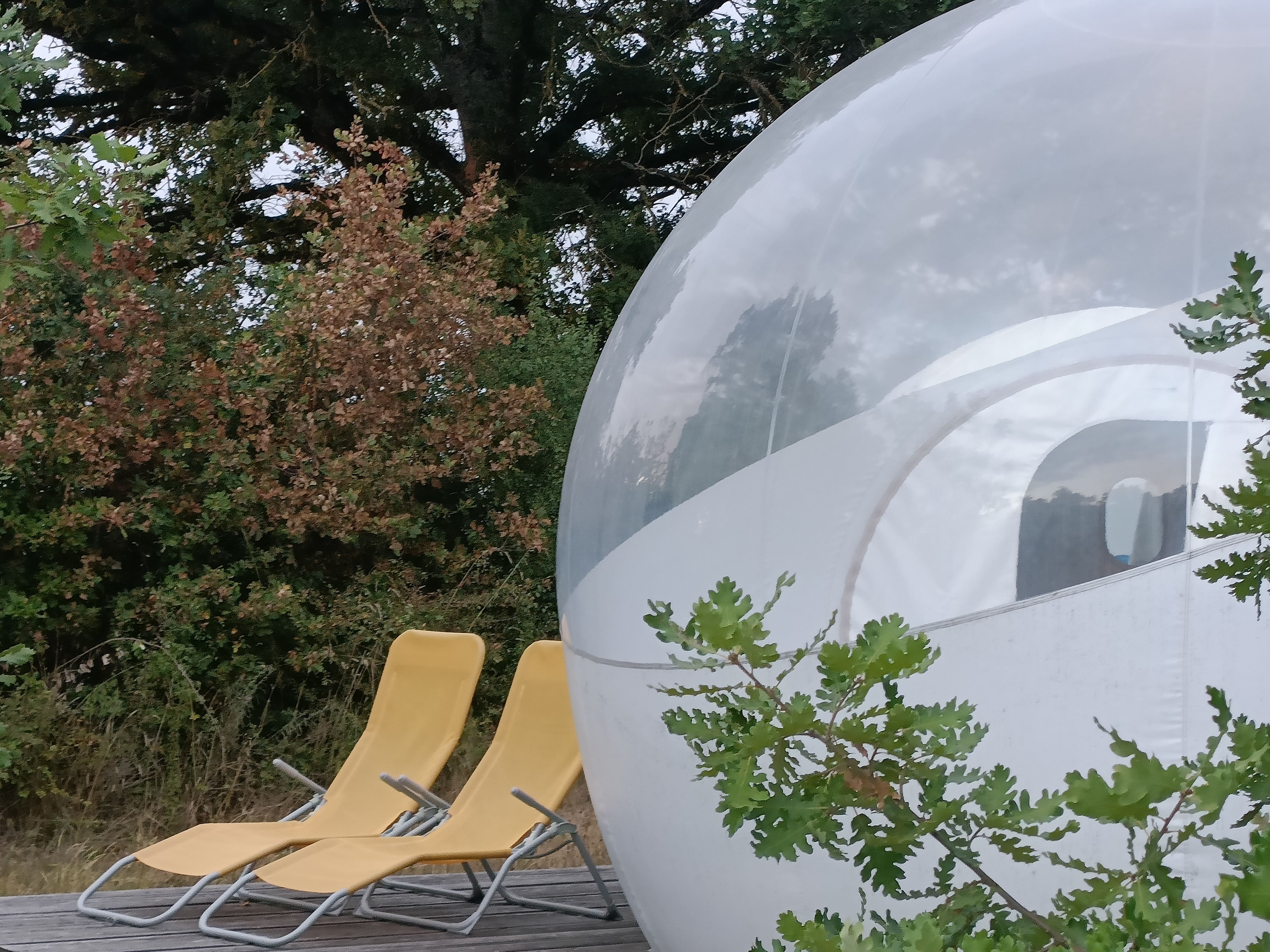 Reine des Prés - Pré en Bulles