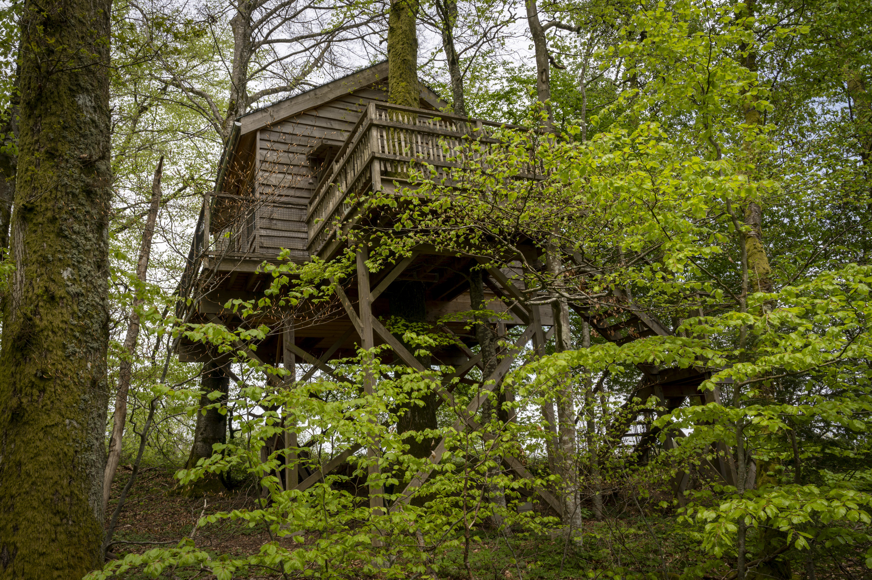La Pat' de l'ours : une cabane perchée au cœur de la nature à Raon Aux Bois — vue intérieure