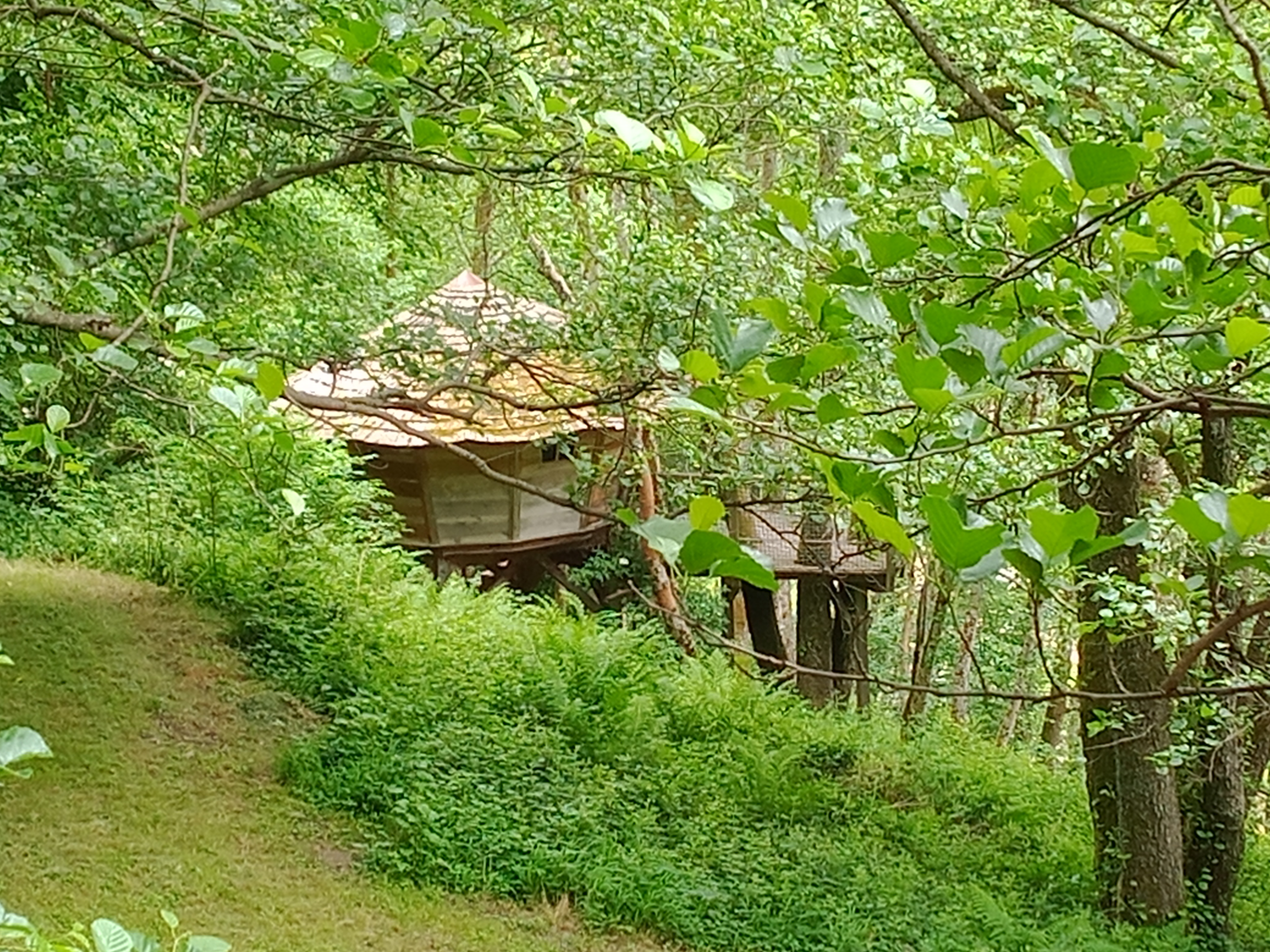 Une cabane sur pilotis : Le Petit Toit du Monde en Alsace à Grandfontaine — vue intérieure