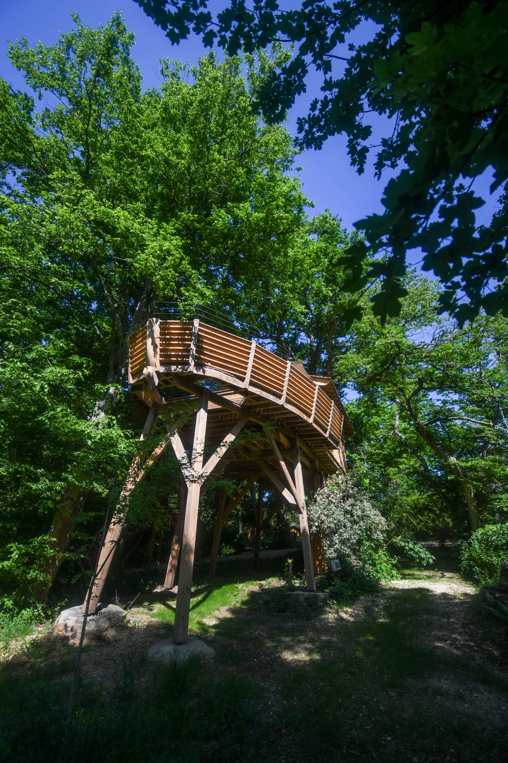 Cabane Spa Des Rêves : une immersion dans les arbres en Picardie à Rosoy-En-Multien — espace de vie