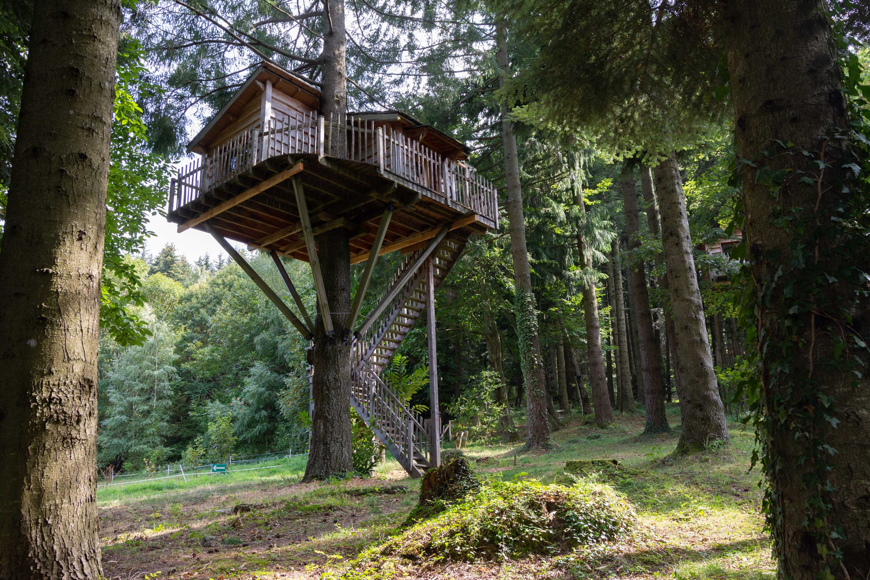 Cabane Marmotte : une expérience suspendue dans les arbres à Saint-Julien-Labrousse — salle de bain