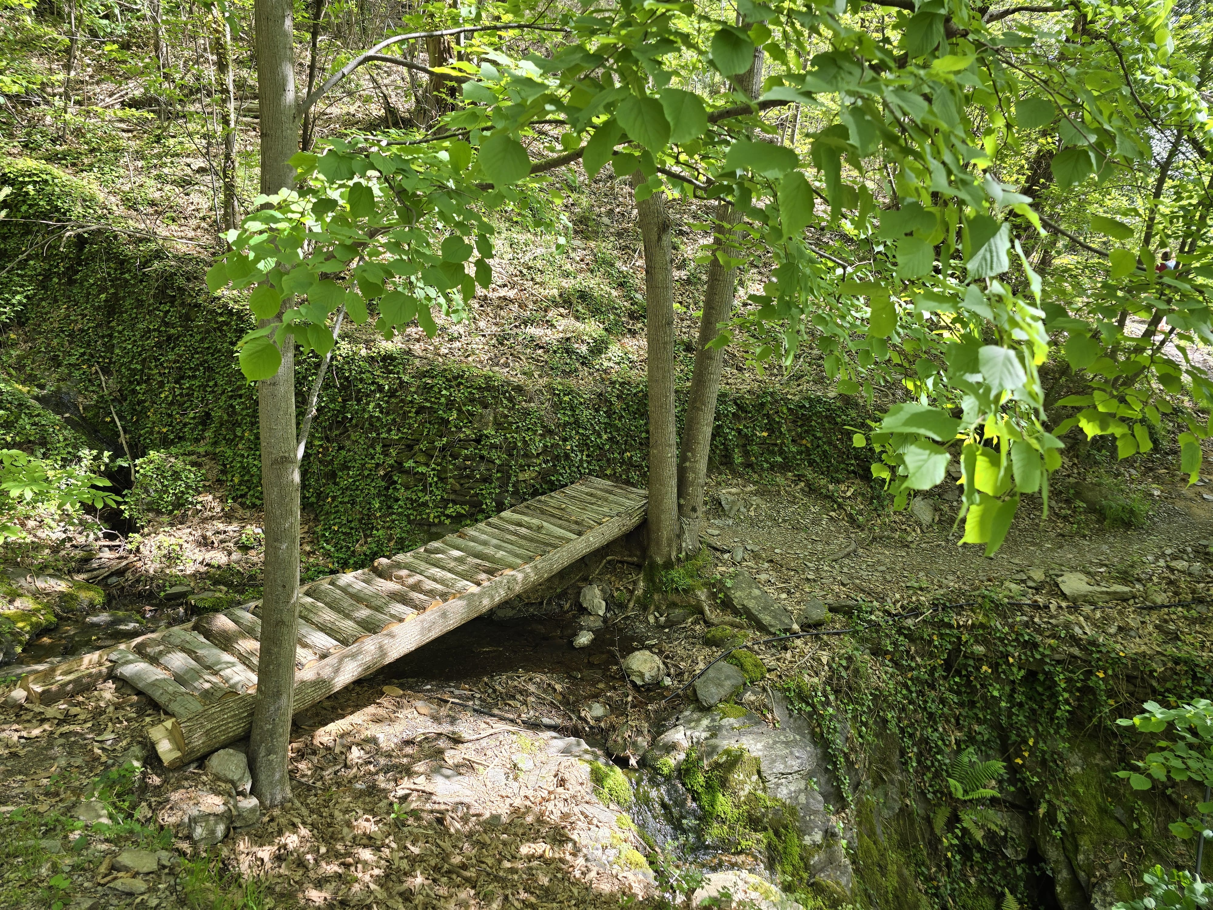 Petite cabane dans les bois — Séjour ressourçant avec spa à Gard à Saint-Jean-du-Gard — vue depuis la terrasse