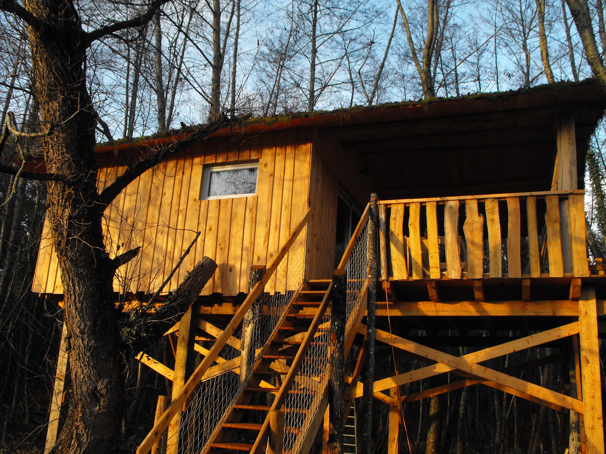 Cabane des Cerfs : une expérience suspendue en Aquitaine à Allons — détail architectural