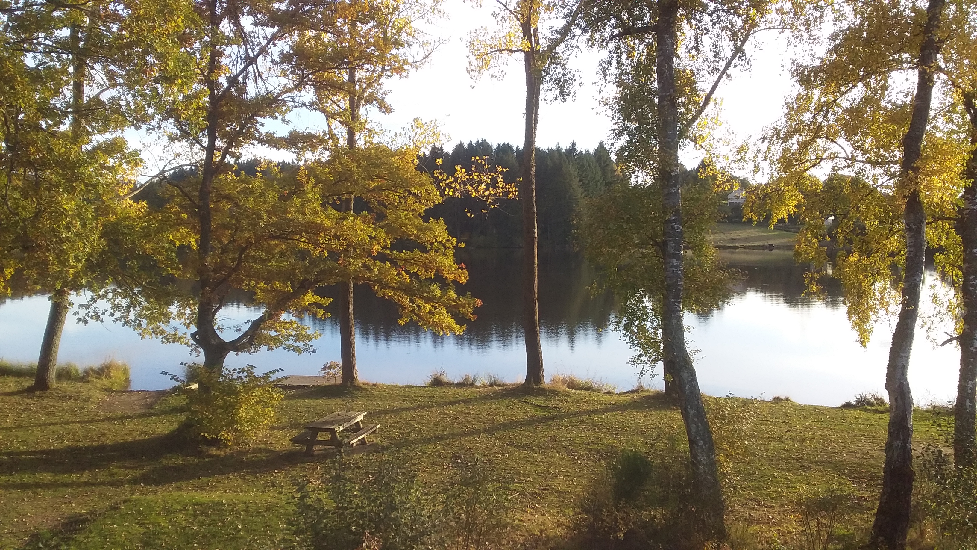 Dôme perché au bord du lac : une expérience unique en Auvergne à Condat-En-Combraille — cuisine