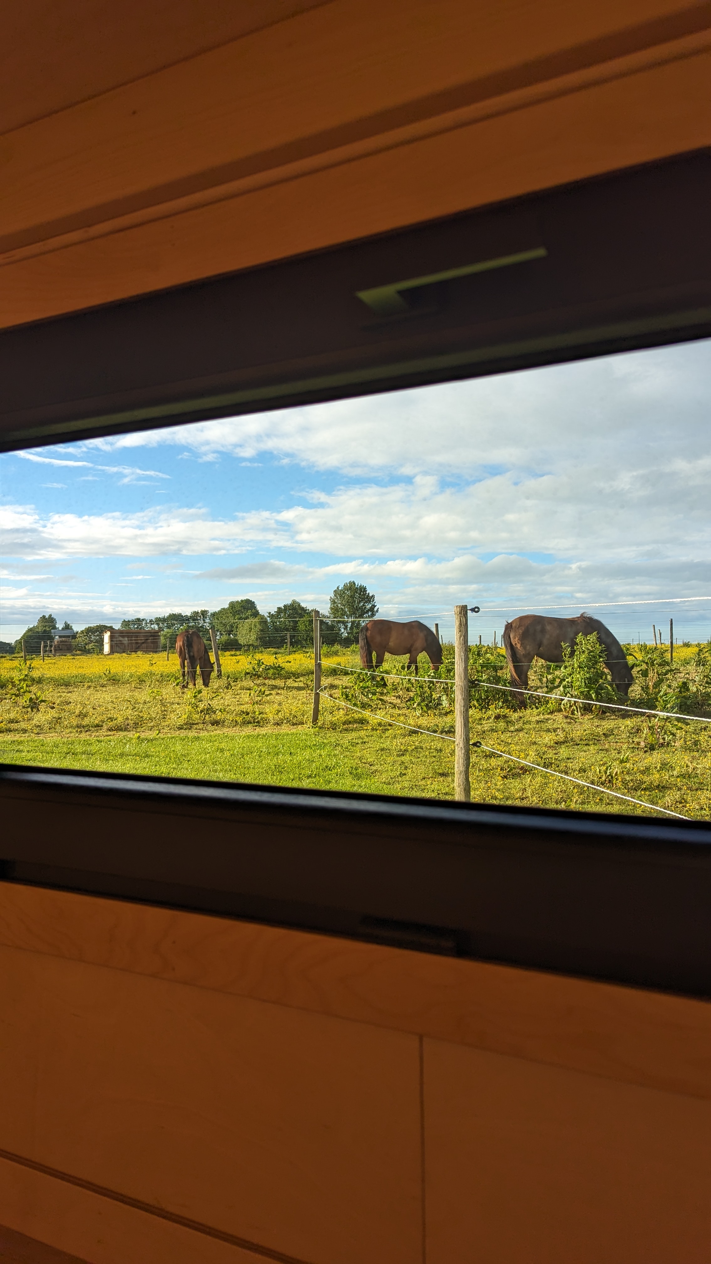 Tiny House La Cavalerie : une évasion en pleine nature à Etretat — chambre
