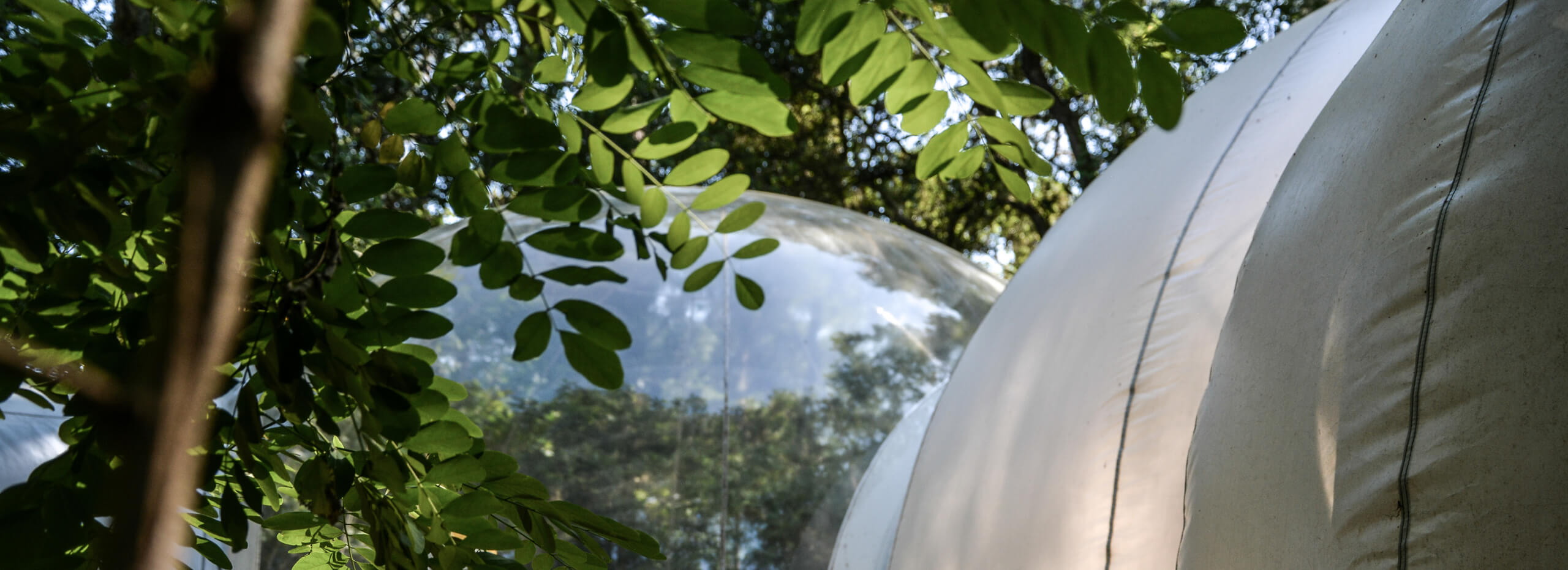 Bulle Blanche d'Hossegor & Spa : une évasion sensorielle en Aquitaine à Hossegor — espace de vie