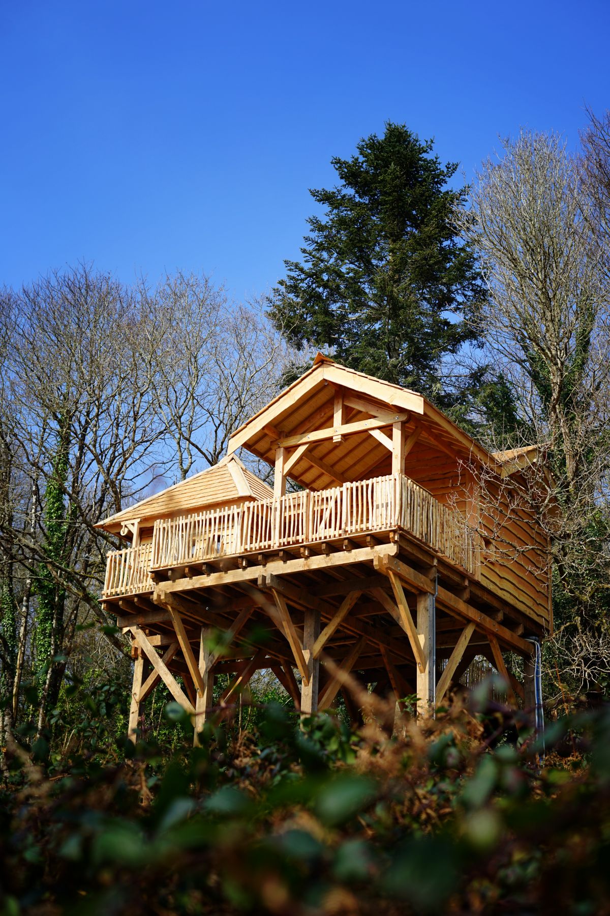 Cabane Lewis : une échappée belle sur pilotis en Bretagne