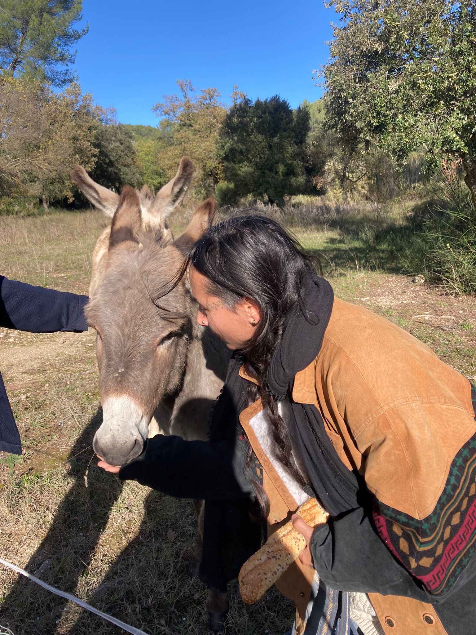 Cabayourte en Ecolieu — Yourte avec spa à La Mauvaise Herbe, Var à La Mauvaise Herbe — cuisine