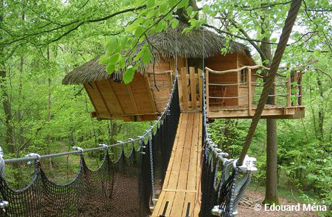 Canyon : une cabane perchée au cœur de la Haute-Normandie à St Germain Des Essourts — espace de vie