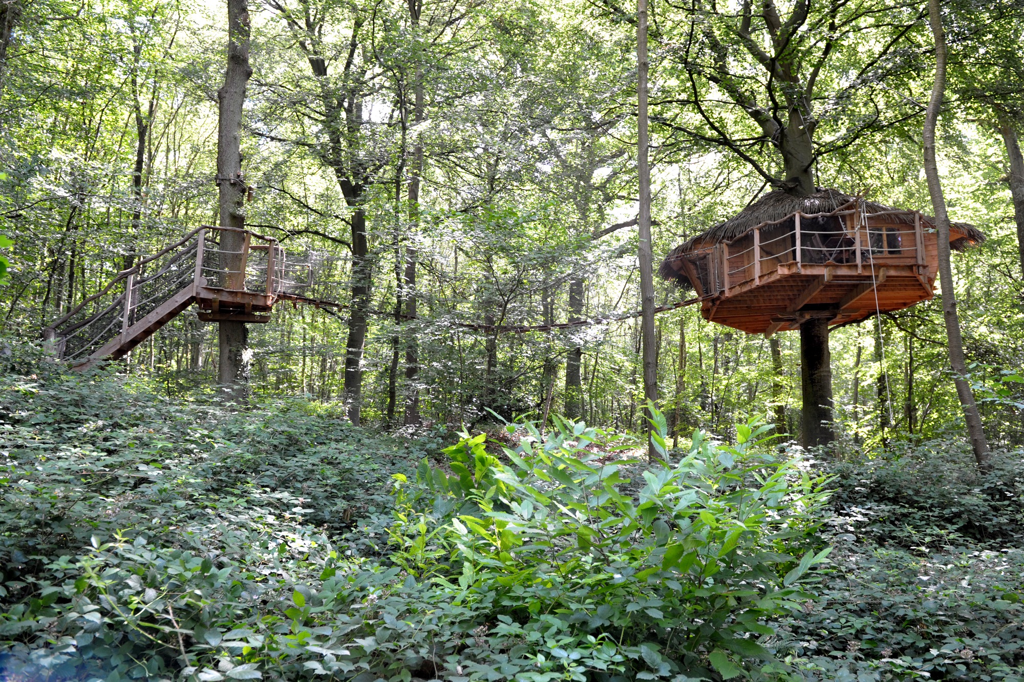 Canyon : une cabane perchée au cœur de la Haute-Normandie