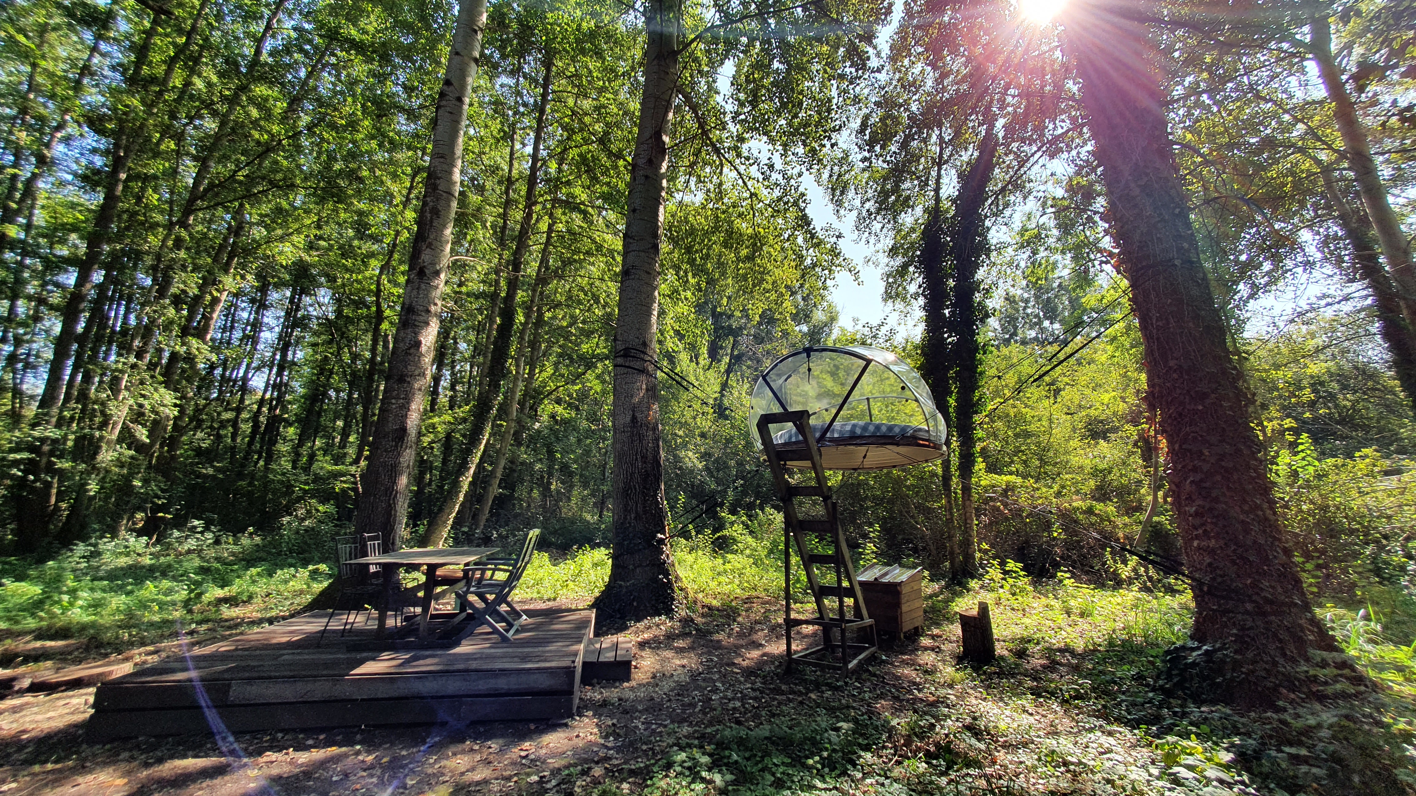 Bulle Sauvage — Nuit perchée à 2m dans les arbres en Seine-et-Marne