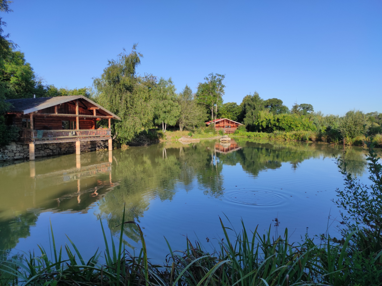La cabane du Trappeur — Cabane avec spa à Creuse à La Nouaille — vue depuis la terrasse