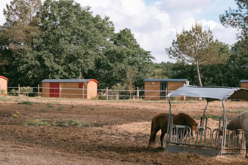 Roulotte classique - Campo 6 : une escapade en Aquitaine à Mées — vue intérieure