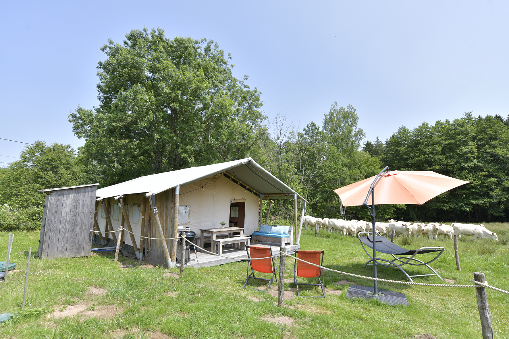 Le lodge de la Chouette : une expérience immersive en pleine nature