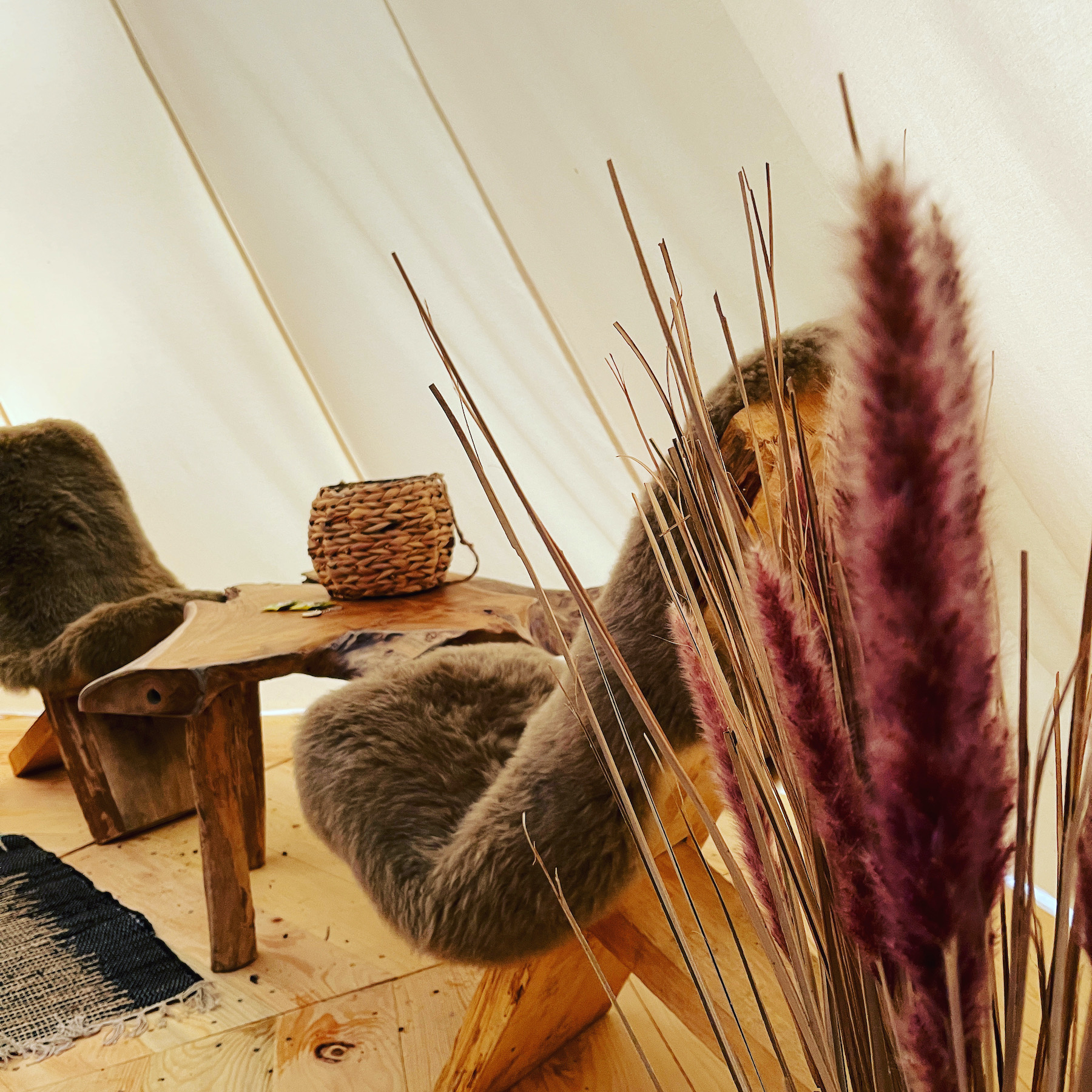 Tipi Leïka — Nuit romantique avec spa à Côte-d'Or à Dijon — vue depuis la terrasse