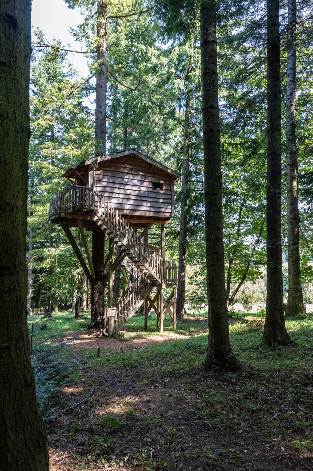 Cabane Hérisson : une expérience suspendue dans les arbres à Saint-Julien-Labrousse — salle de bain
