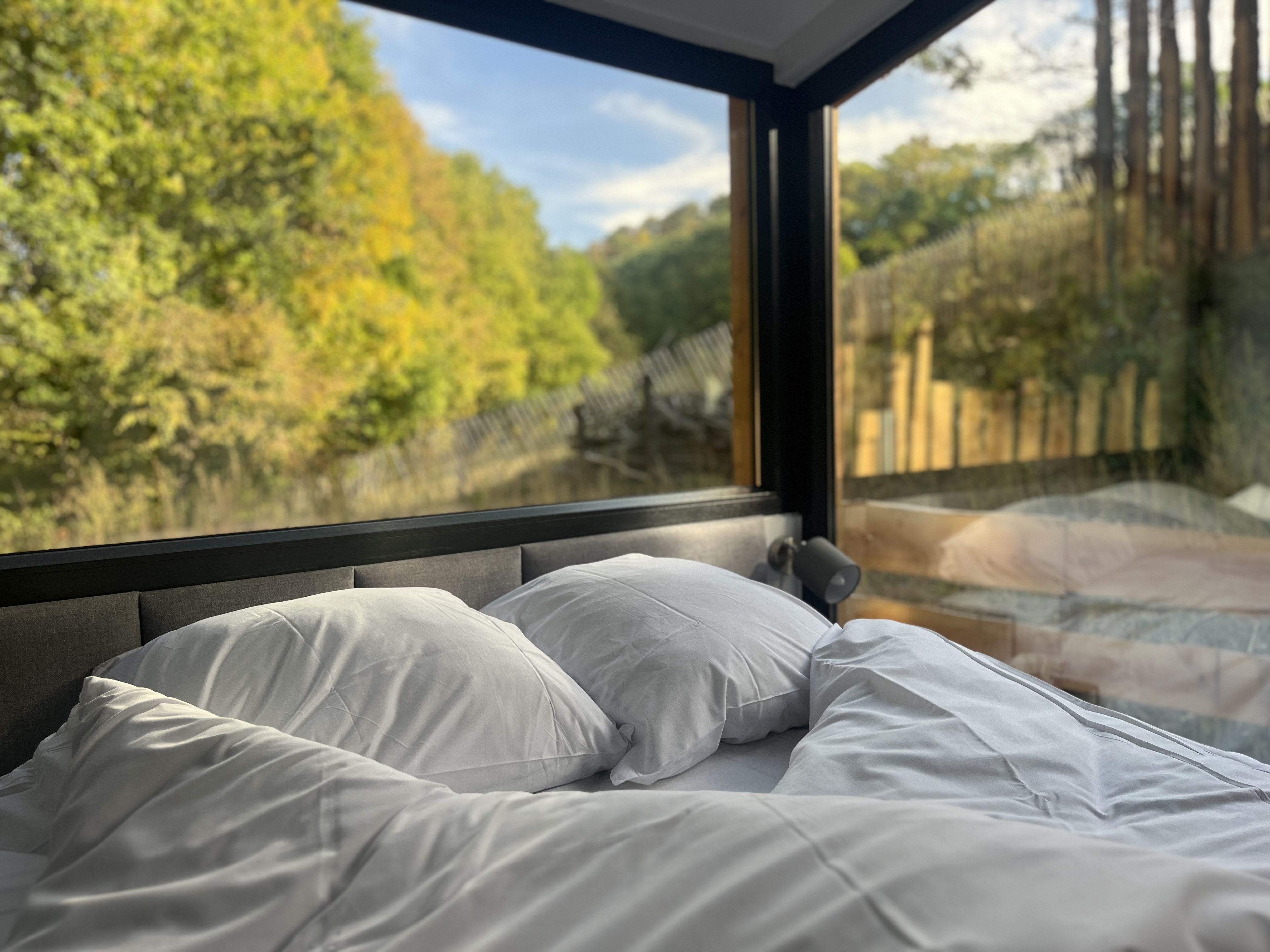 La Maison Petite-Ourse : une cabane avec bain nordique en Alsace à Orbey — environnement naturel