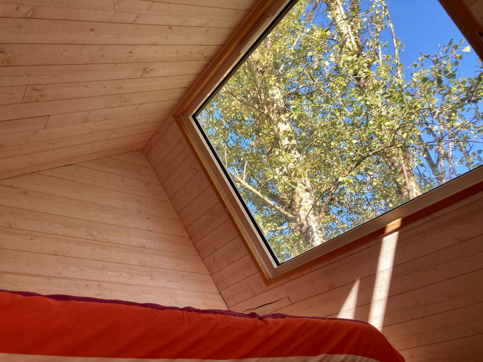 Le Nid'O : une cabane sur l'eau à Montaigu Plage à Montaigu De Quercy — chambre