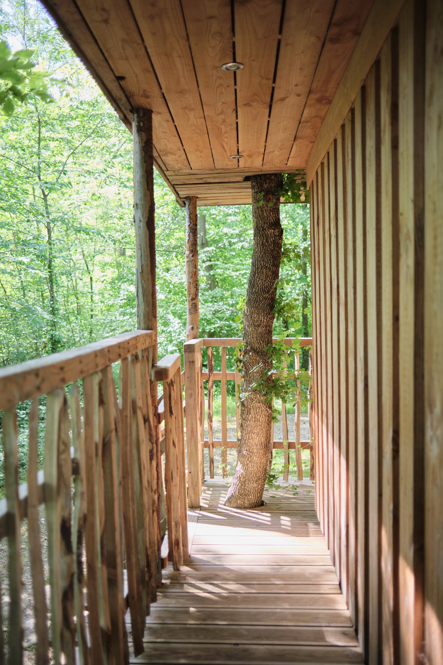 Photo 9/9 — Cabane « Cabane au fil de l'eau : une expérience unique en Picardie » à St-Léger-Aux-Bois Oise