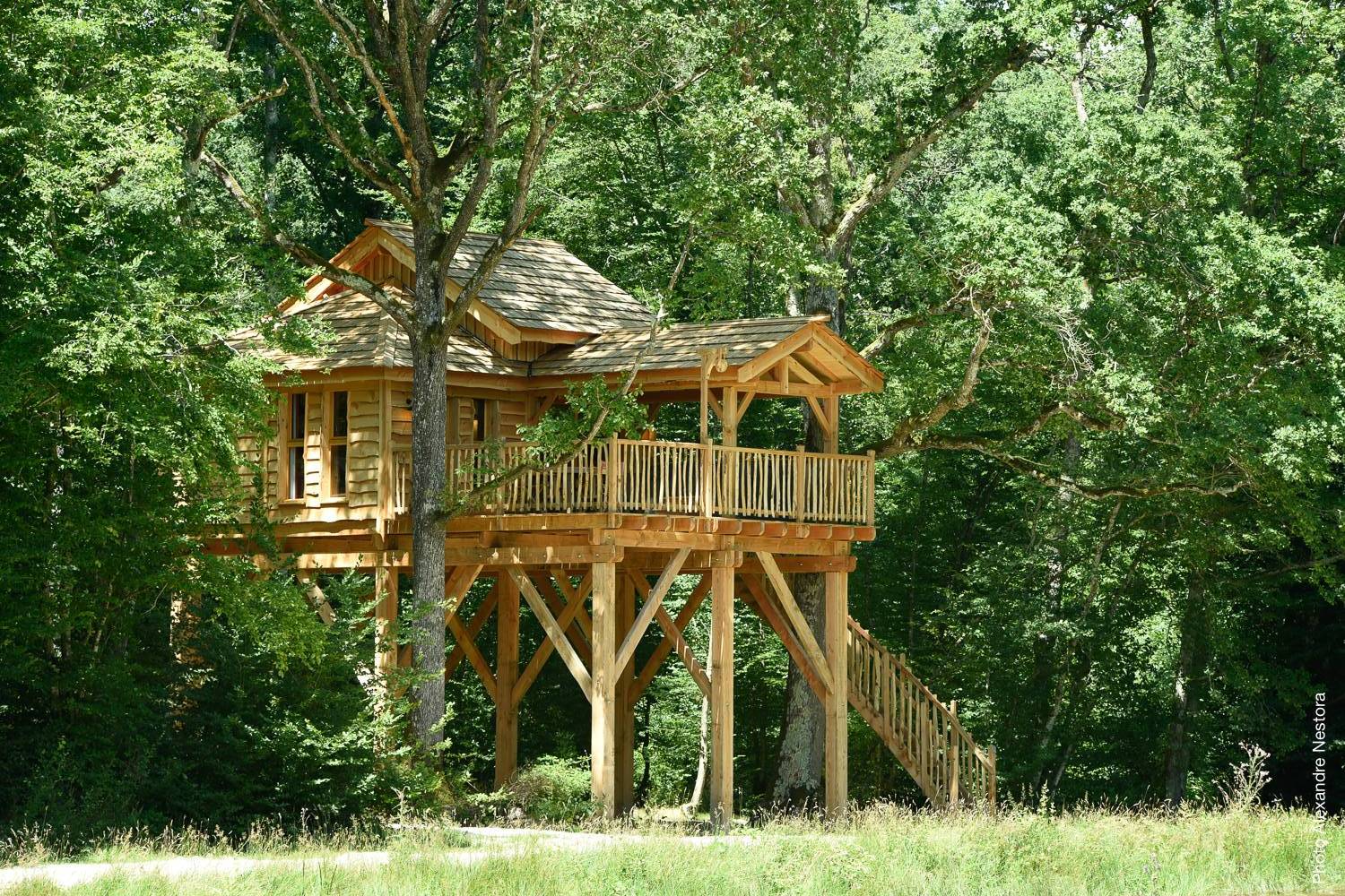La Cabane de l'Etang & Spa : une évasion dans les arbres