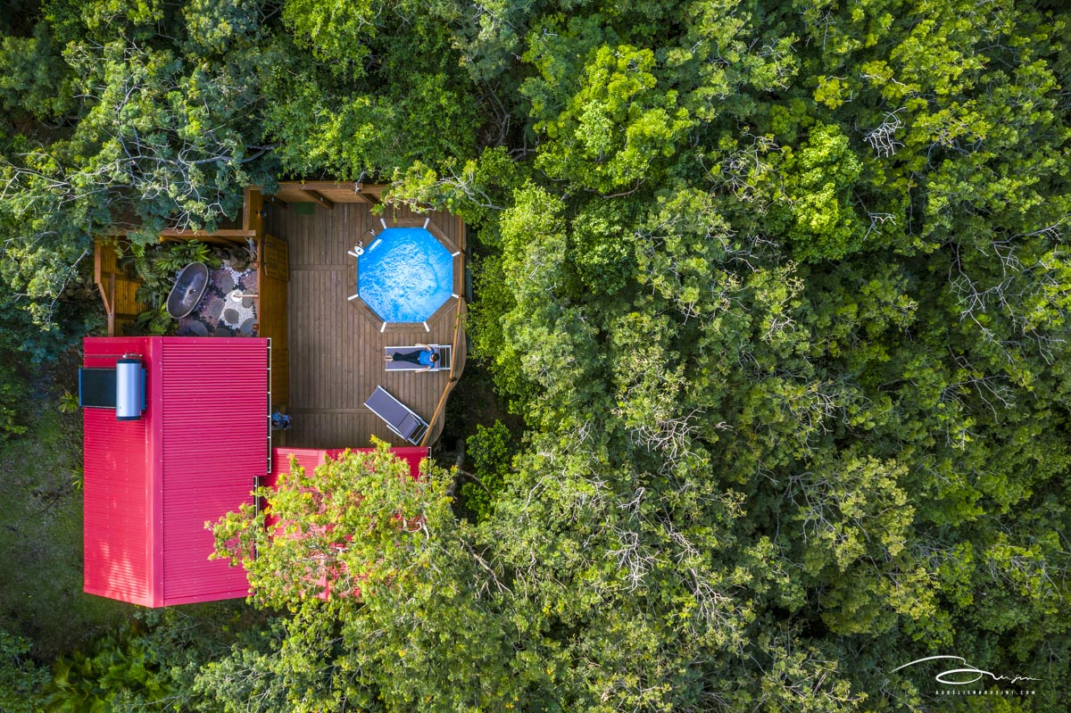 Jungle Lodge : cabane dans les arbres avec piscine privée