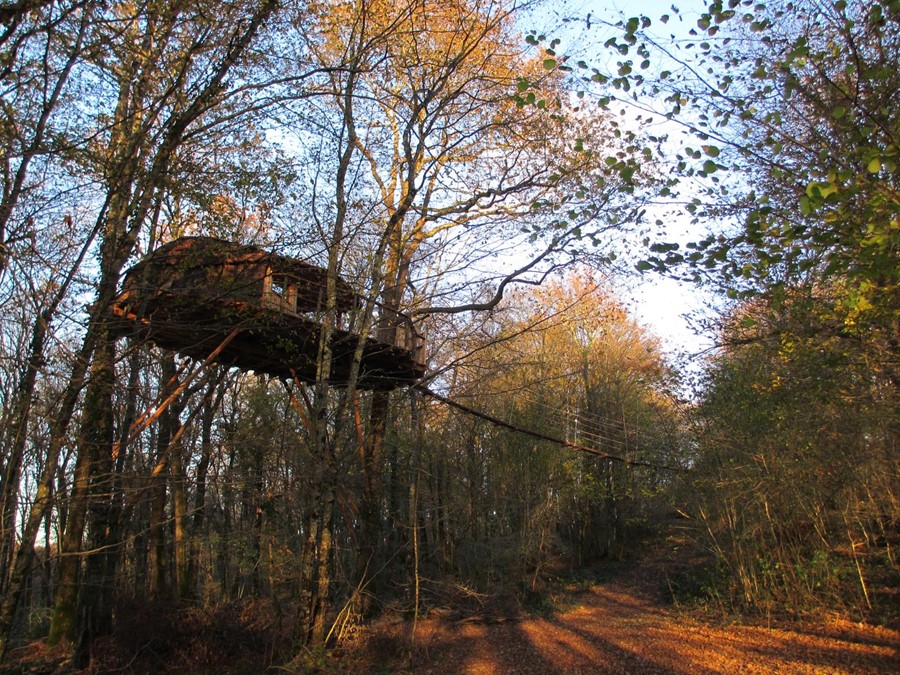 Cabane Tad Goz : une immersion dans les arbres de Franche-Comté à Ranchot — cuisine