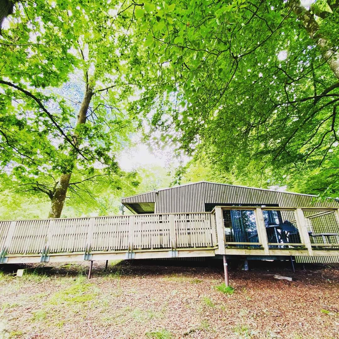 Chalet-Lodge premium & Spa : une évasion en pleine nature