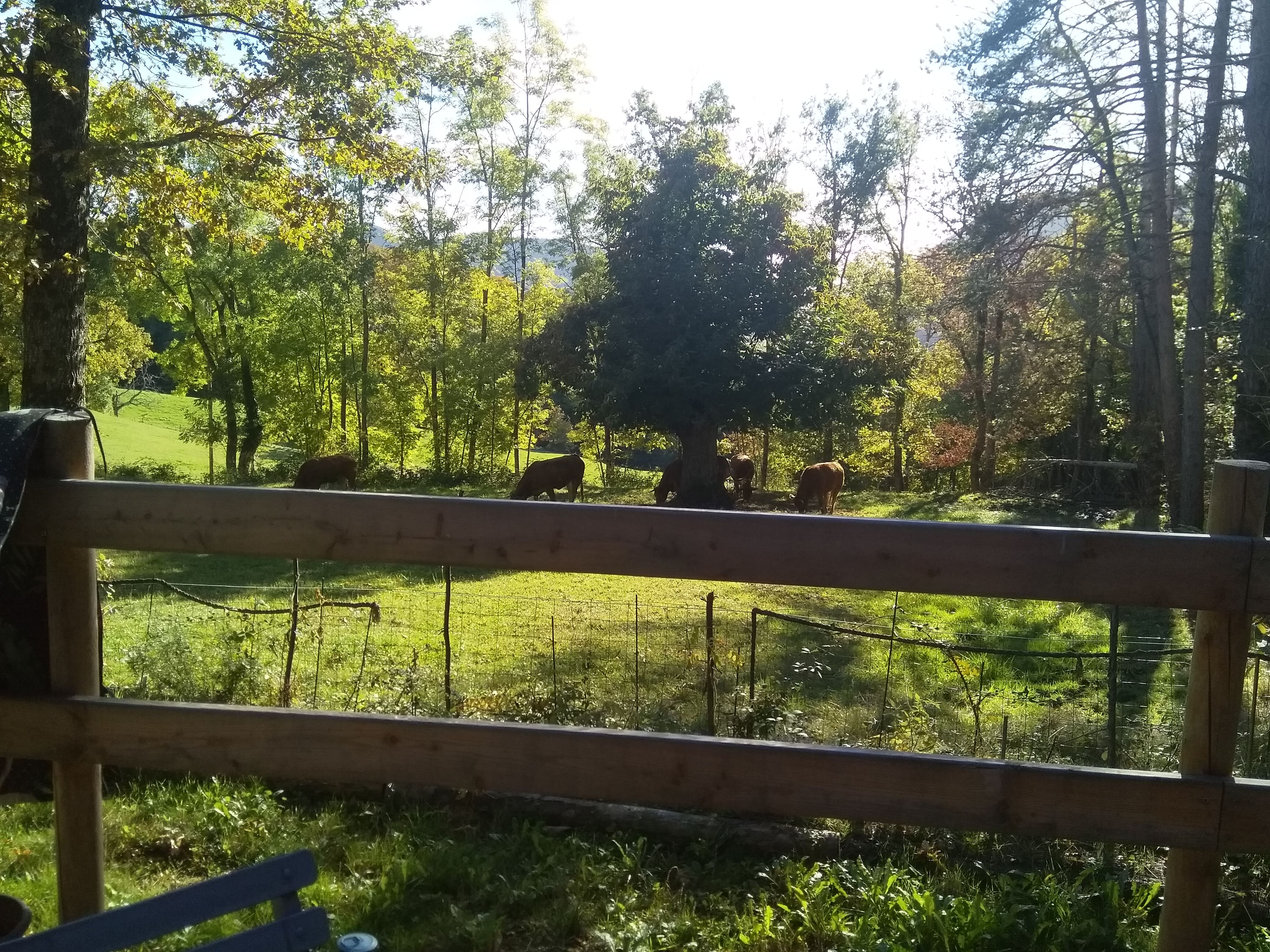 Le Minshuku & SPA : un chalet enchanteur en Rhône-Alpes à Le Poet Celard — espace de vie