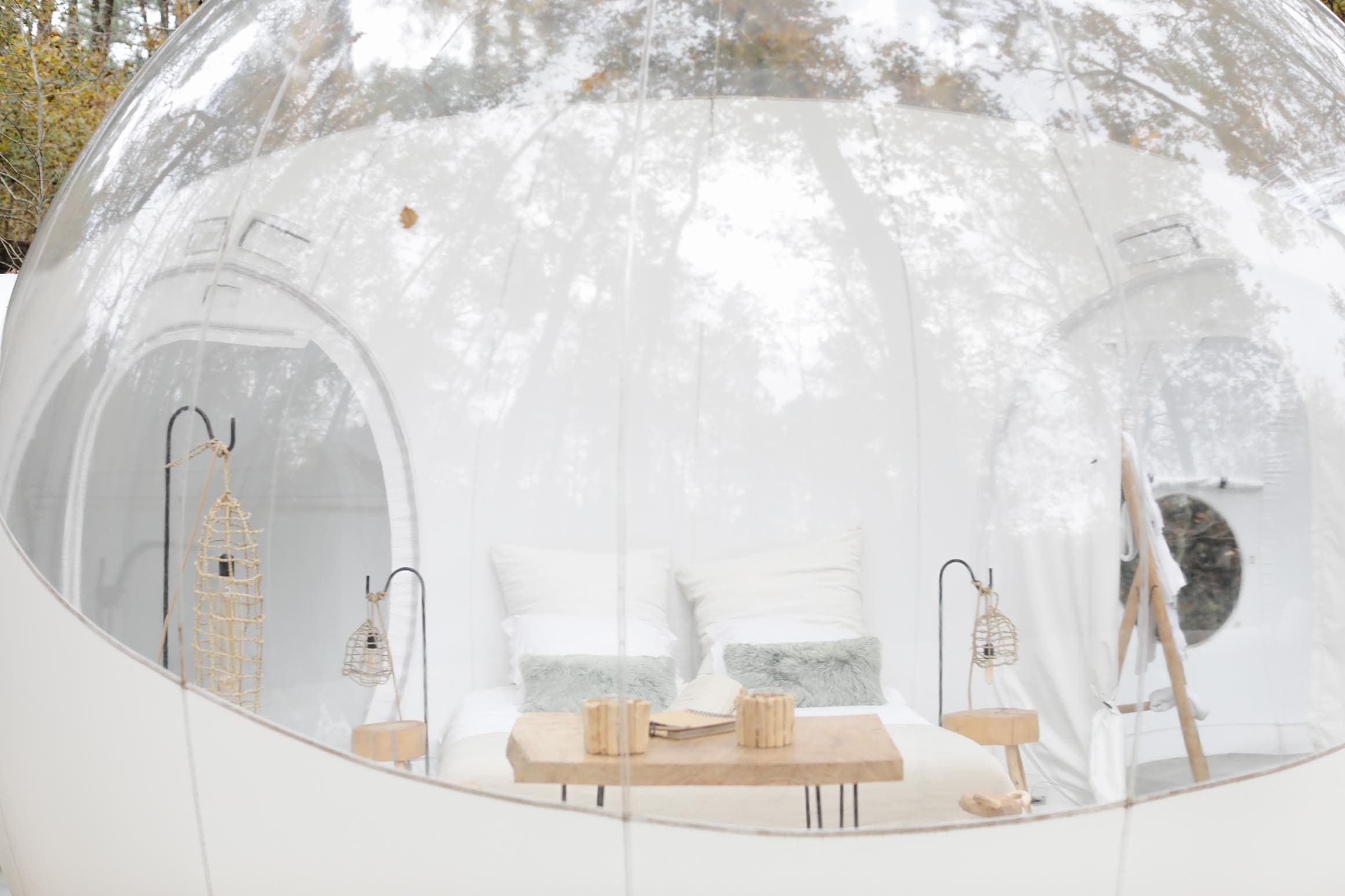 Bulle Spa Petit Verdot