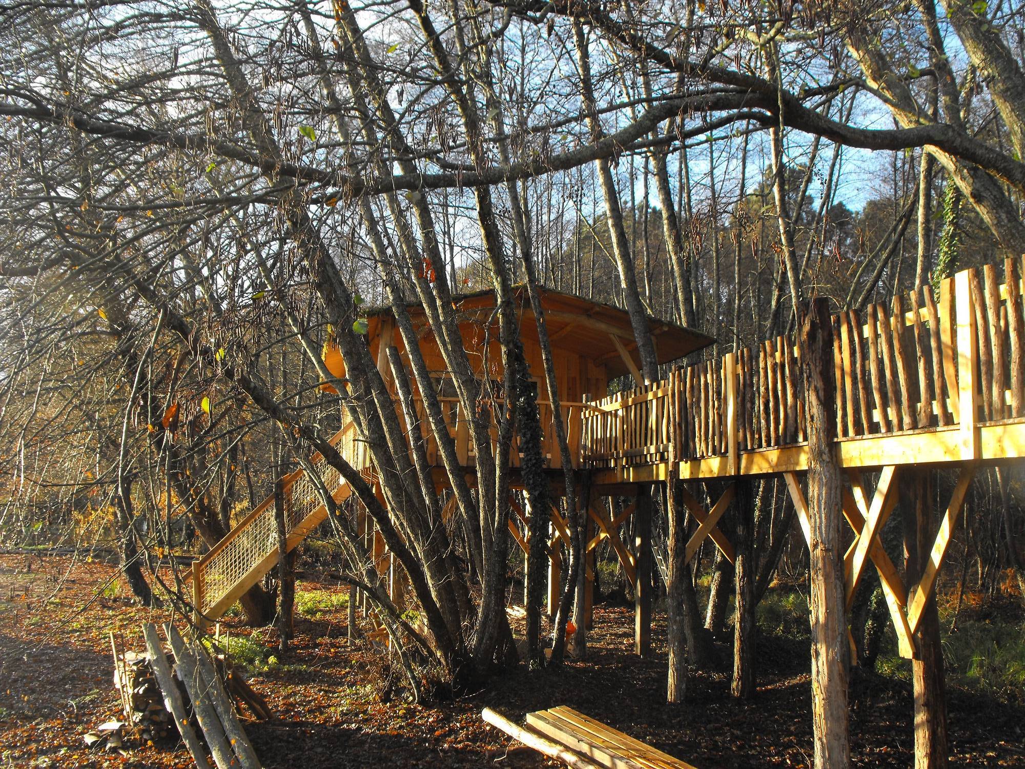 Cabane des Cerfs : une expérience suspendue en Aquitaine à Allons — vue depuis la terrasse