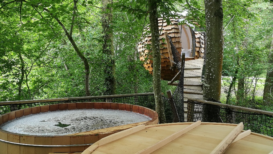 Cabane Lov'Nid Spa : une évasion sensorielle en pleine nature à La Baconnière — vue intérieure