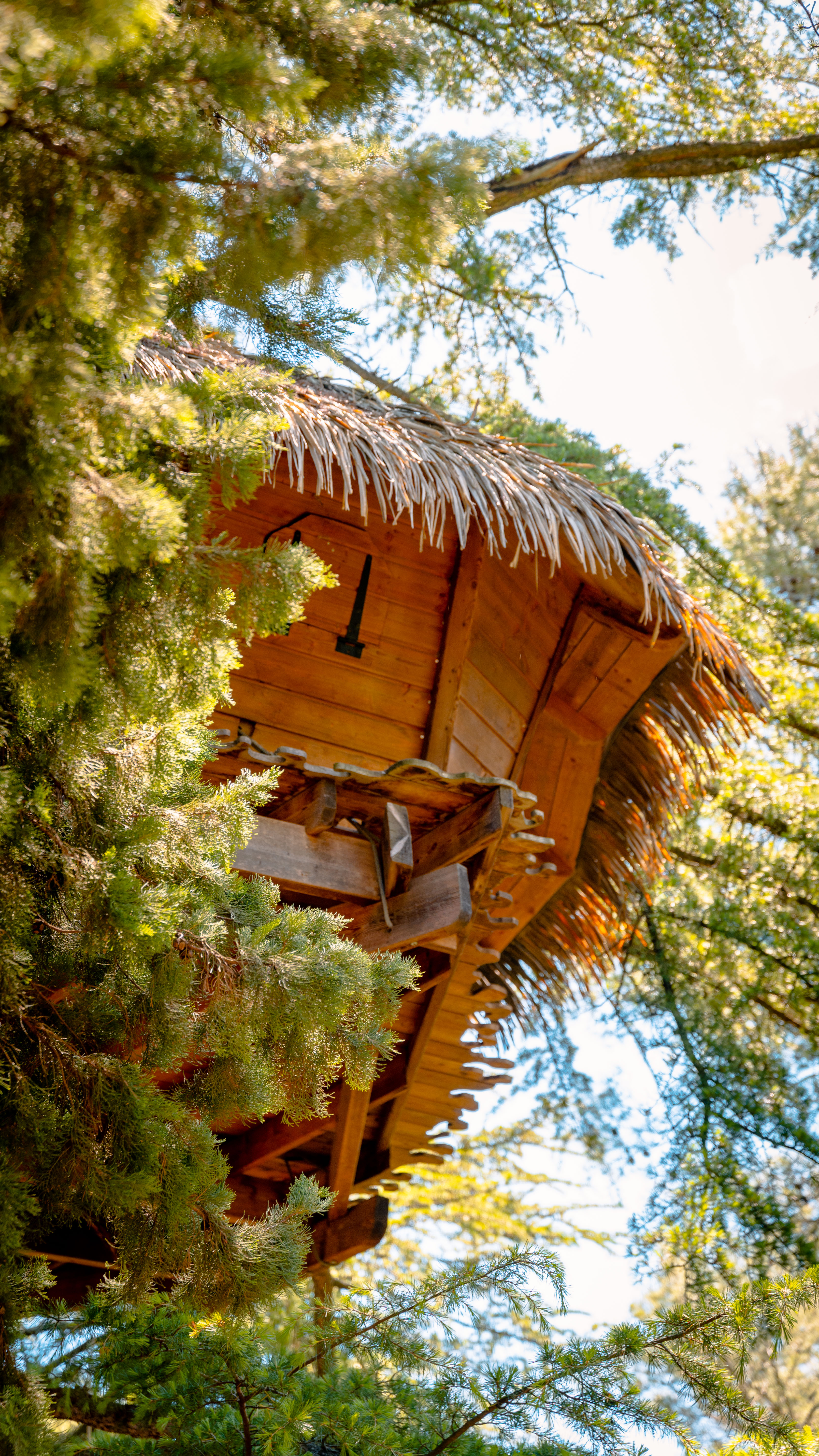 Grand Duc & Spa Privatif — Cabane dans les arbres à Hérault à Béziers — cuisine