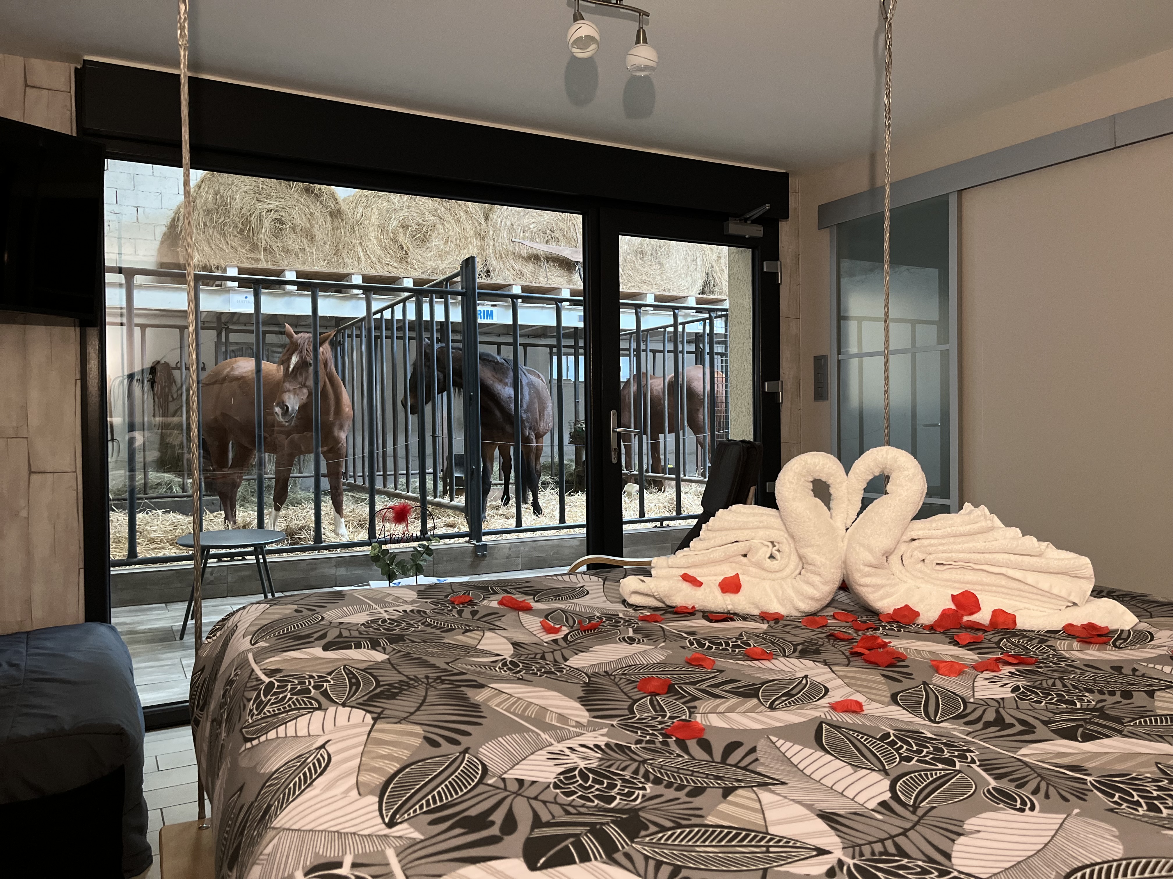 Suite 3 — Hébergement avec jacuzzi et vue sur chevaux à Vosges à Épinal — vue depuis la terrasse