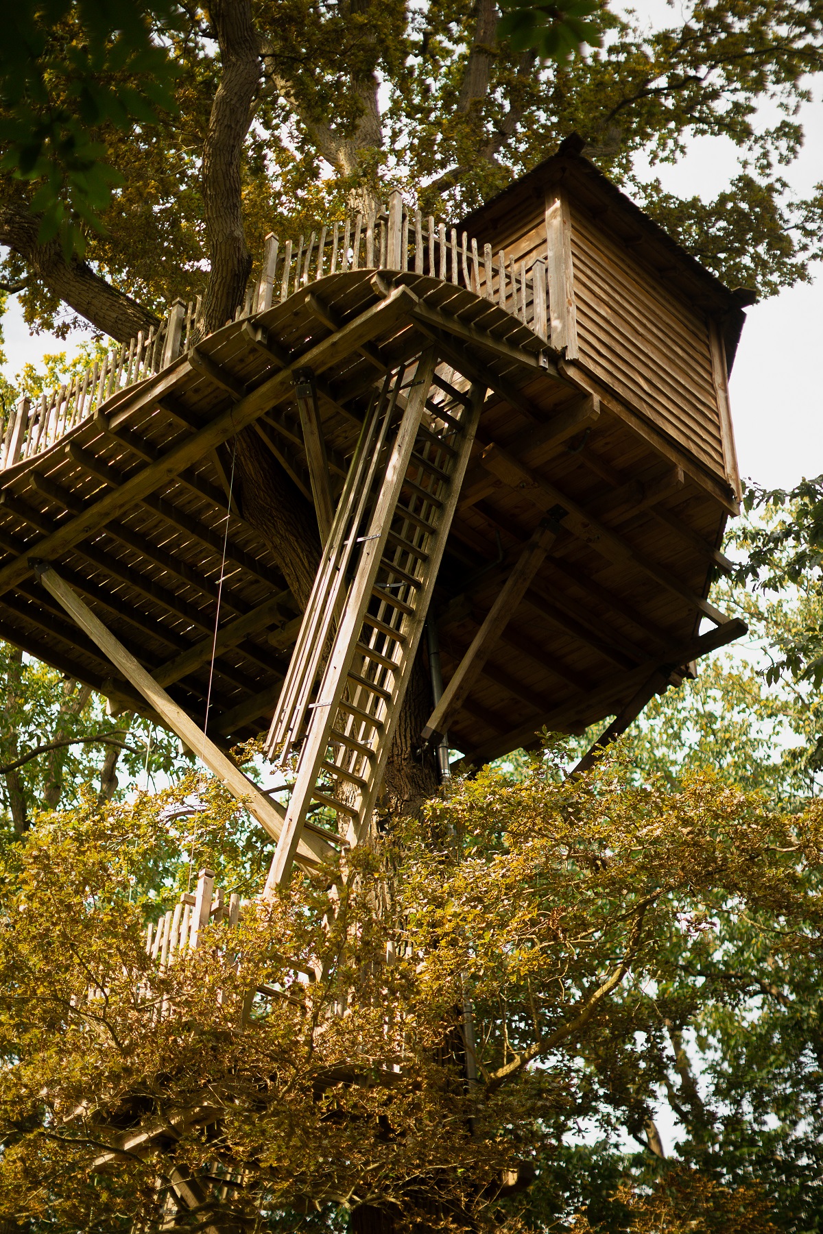 Cabane imprenable : une échappée belle dans les arbres à Raray — vue intérieure