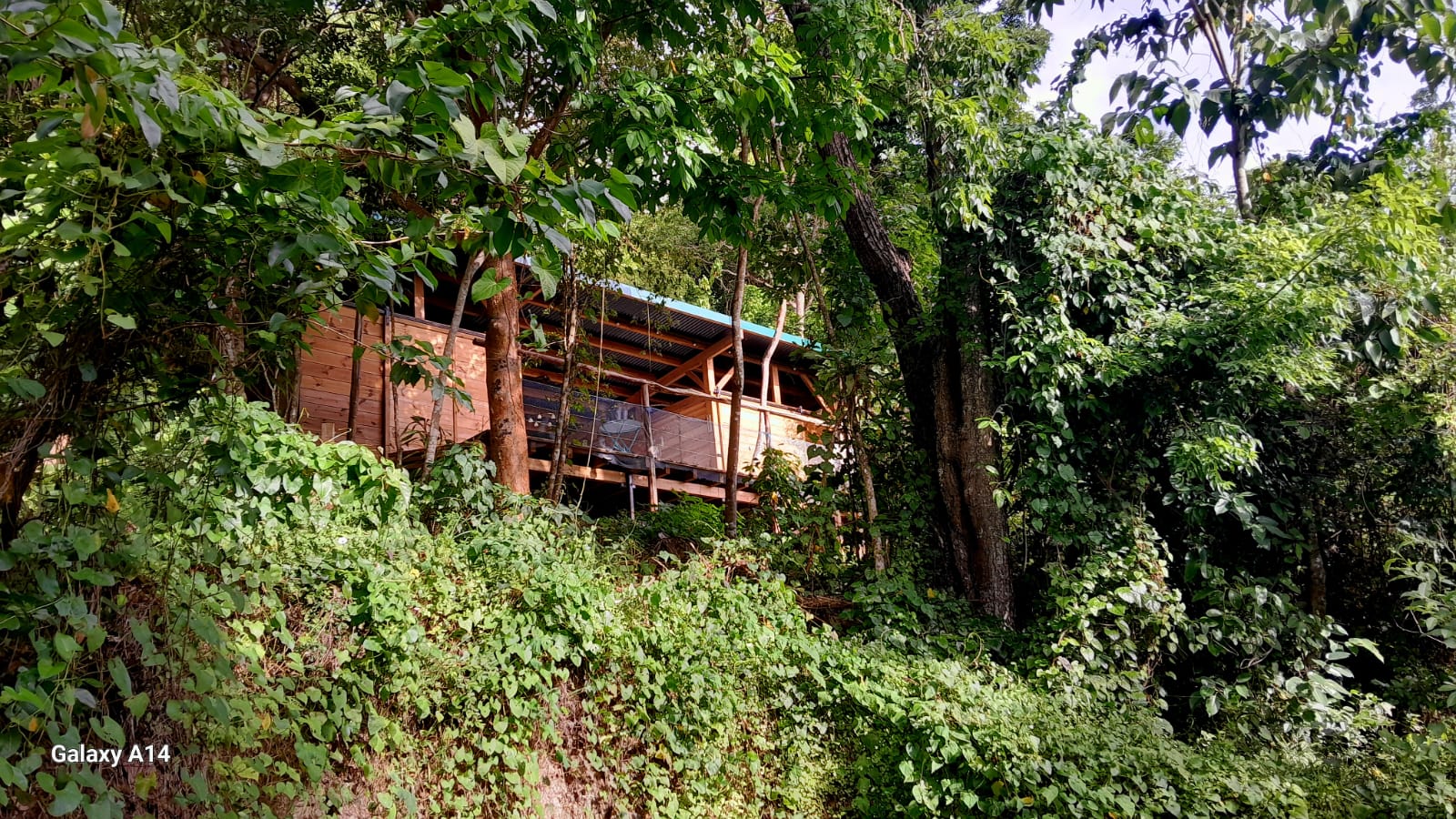 Gran Kabane — Cabane dans les arbres avec vue mer à Guadeloupe à Deshaies — vue intérieure