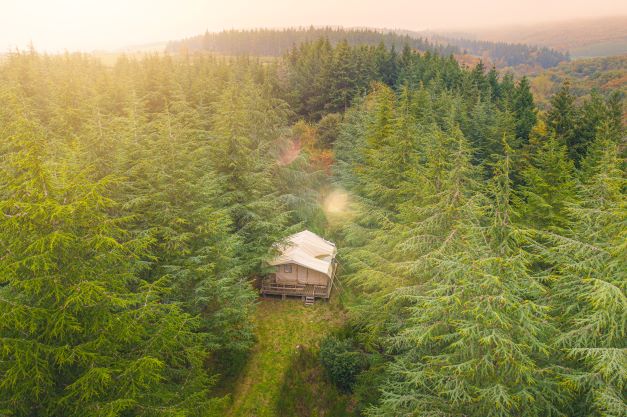Glamping Lodge Expérience : un safari en pleine nature à Occitanie — environnement naturel