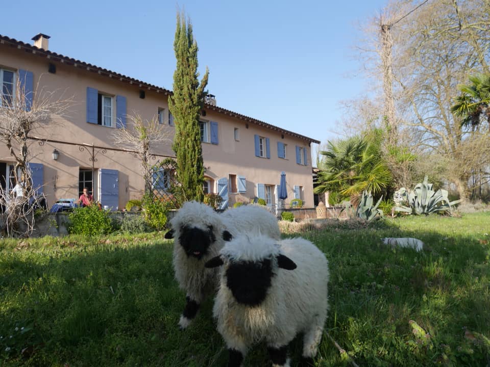 Photo 3/9 — Roulotte « La Roulotte du Centre Agro Environnemental de Brassacou » à Pamiers Ariège
