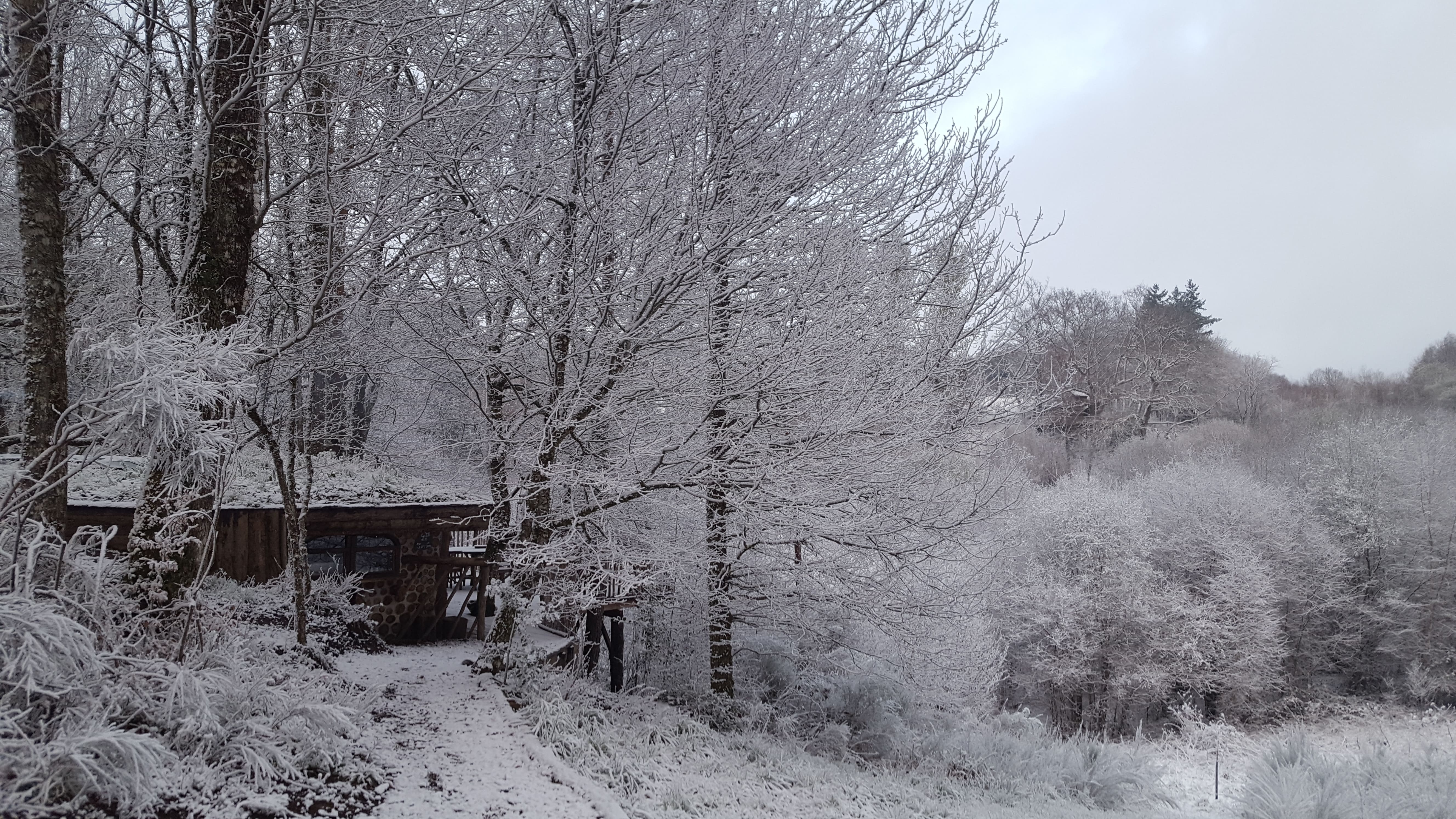 La cabane du Terrier — Maison de hobbit à 6m de hauteur en Corrèze à Brive-la-Gaillarde — espace de vie