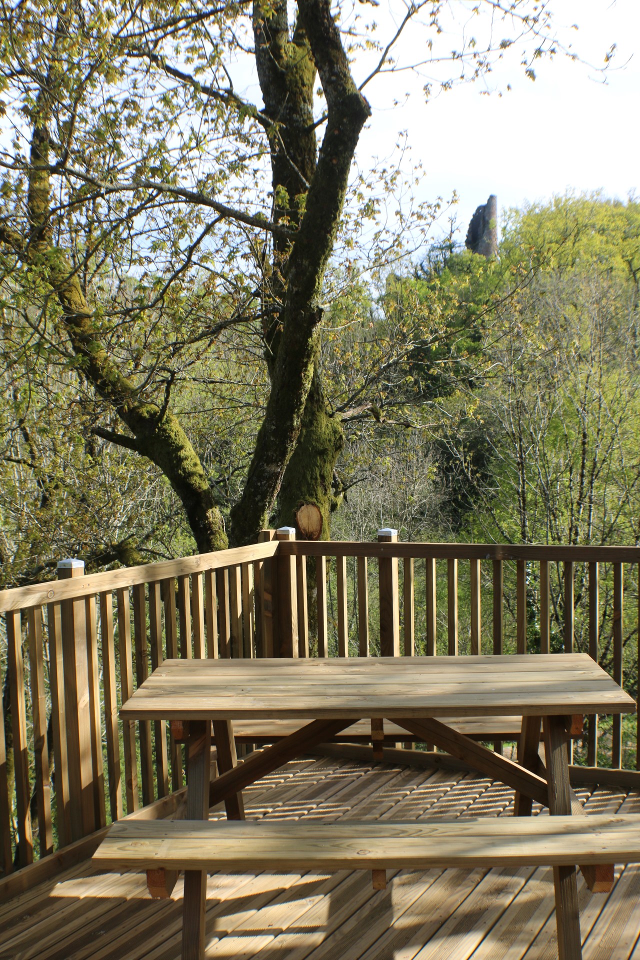 Dôme Spa dans les Arbres : une expérience immersive en Auvergne à Saint Constant — vue depuis la terrasse