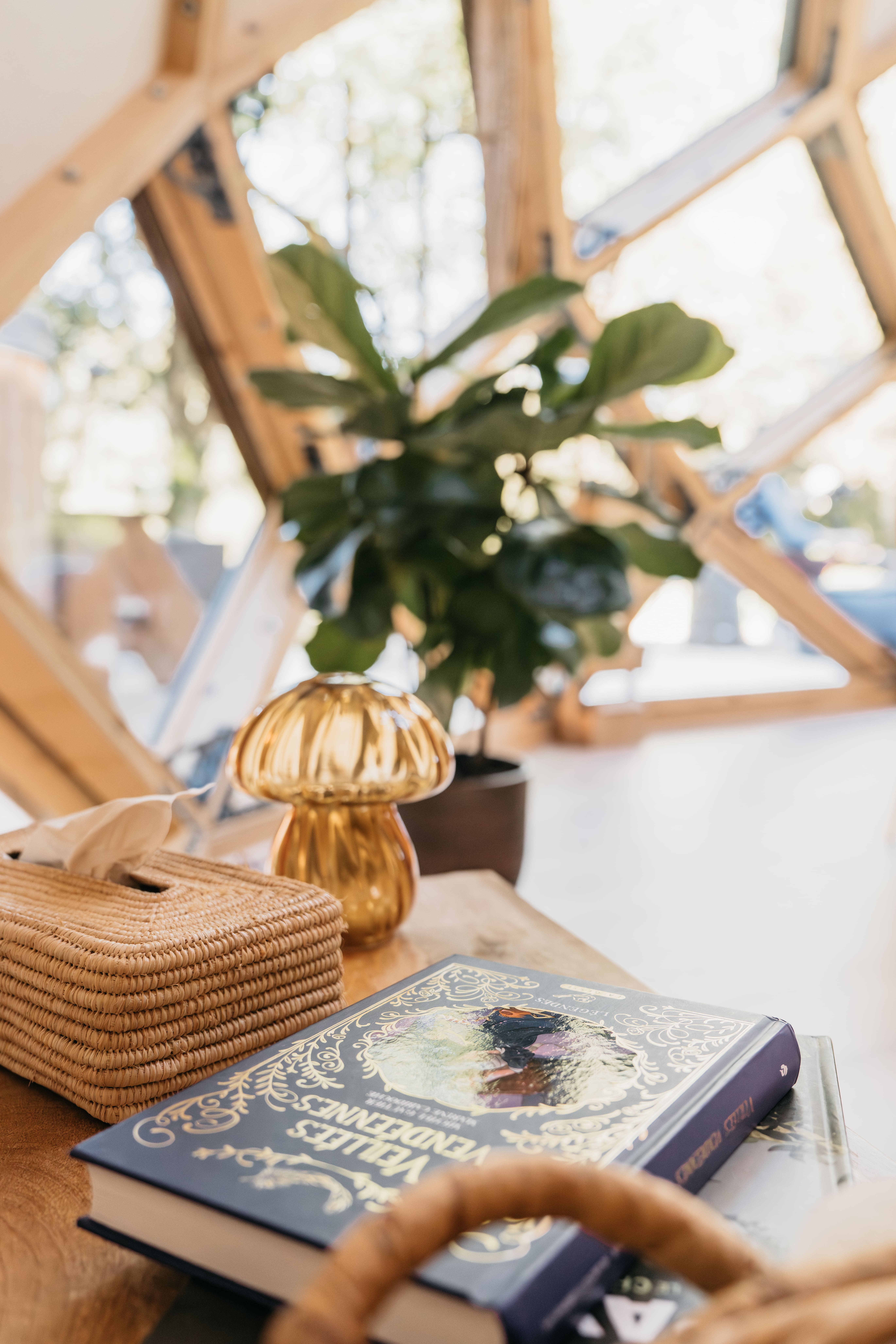 Le zome : Nuit sous les étoiles & spa privatif