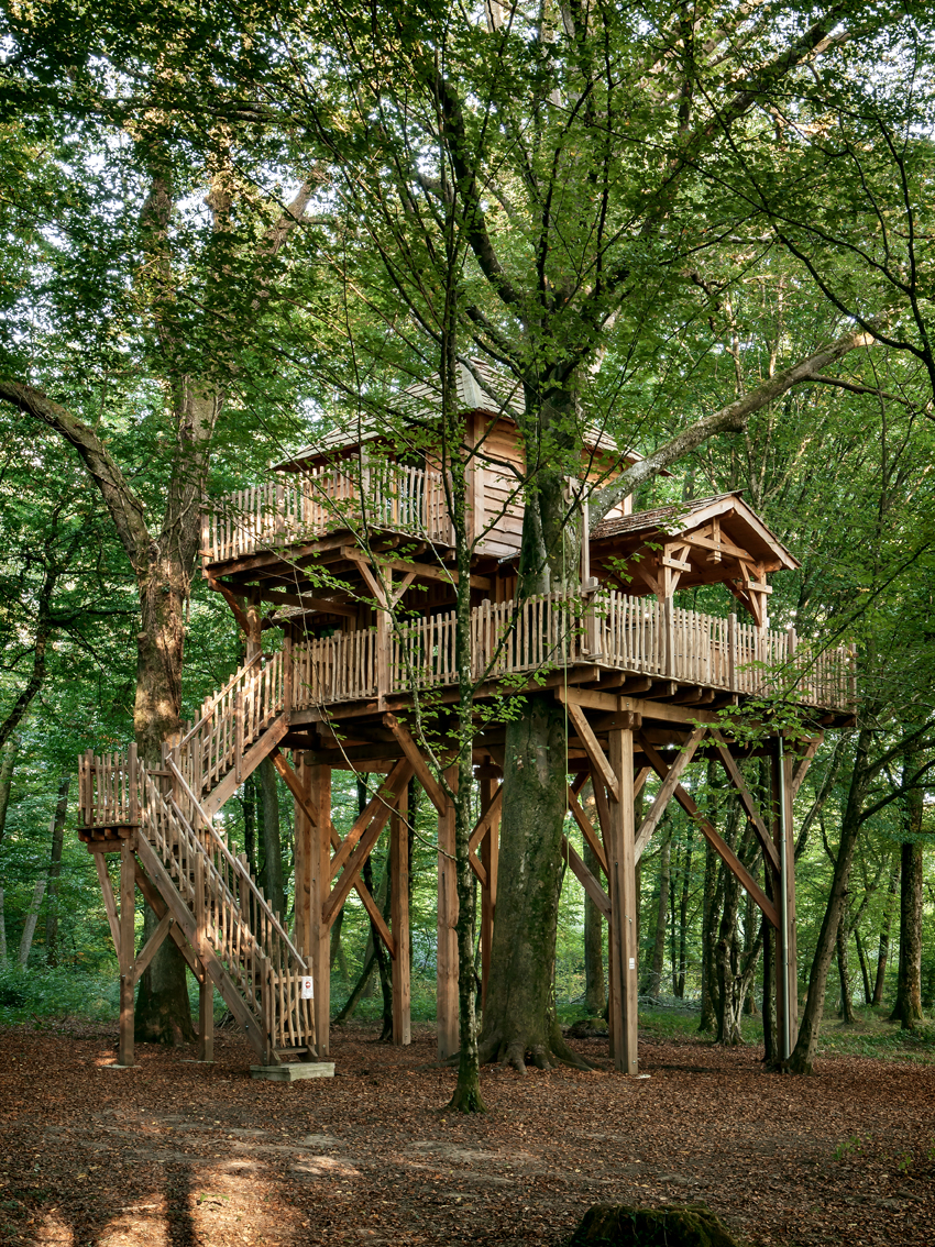 Cabane Spa Cache-Cache : une immersion dans les arbres à Joncherey — vue intérieure