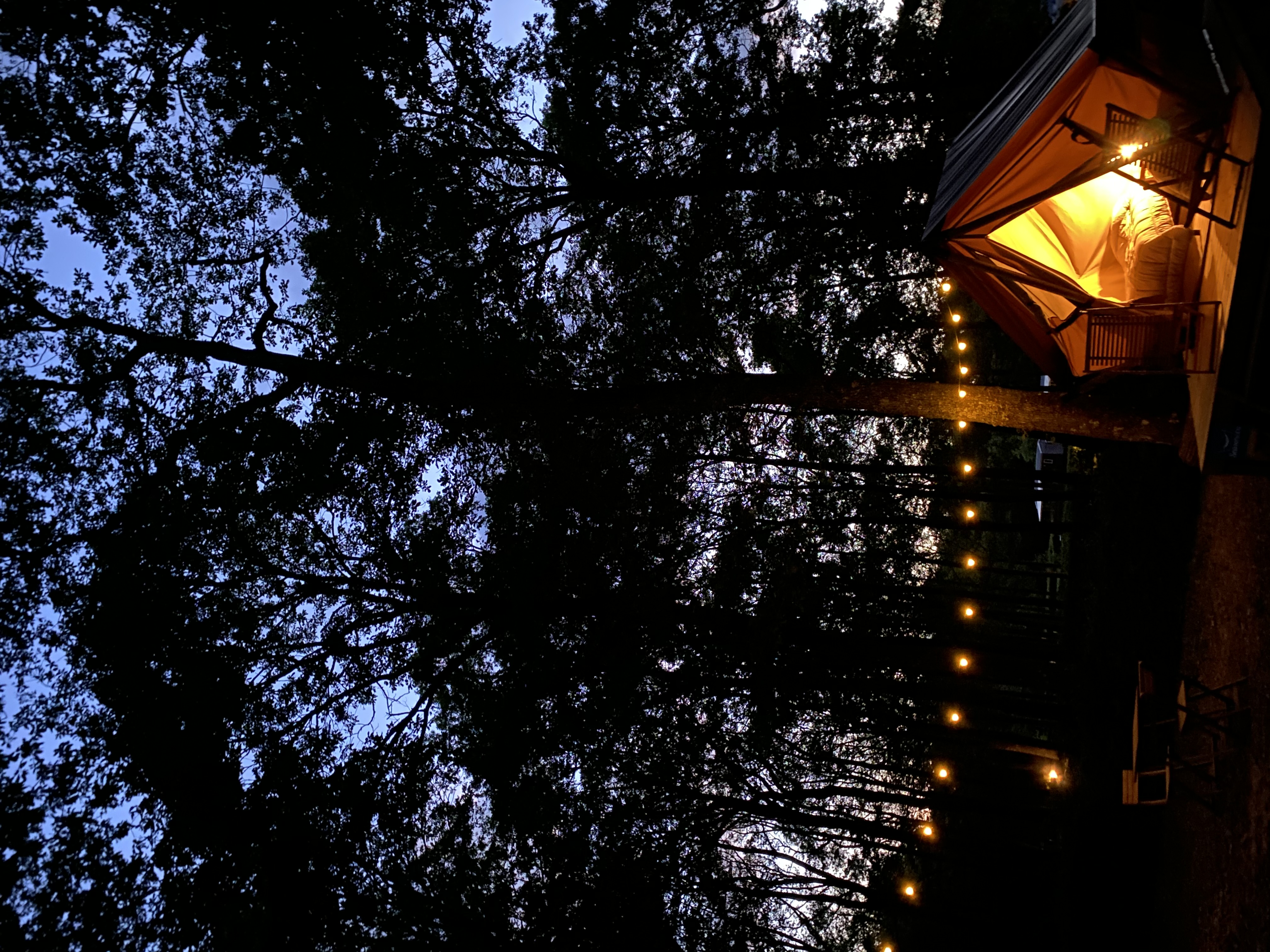 Bivouac Nomade — Tente avec spa à Camping la Forêt en Sarthe à Sablé-sur-Sarthe — vue intérieure