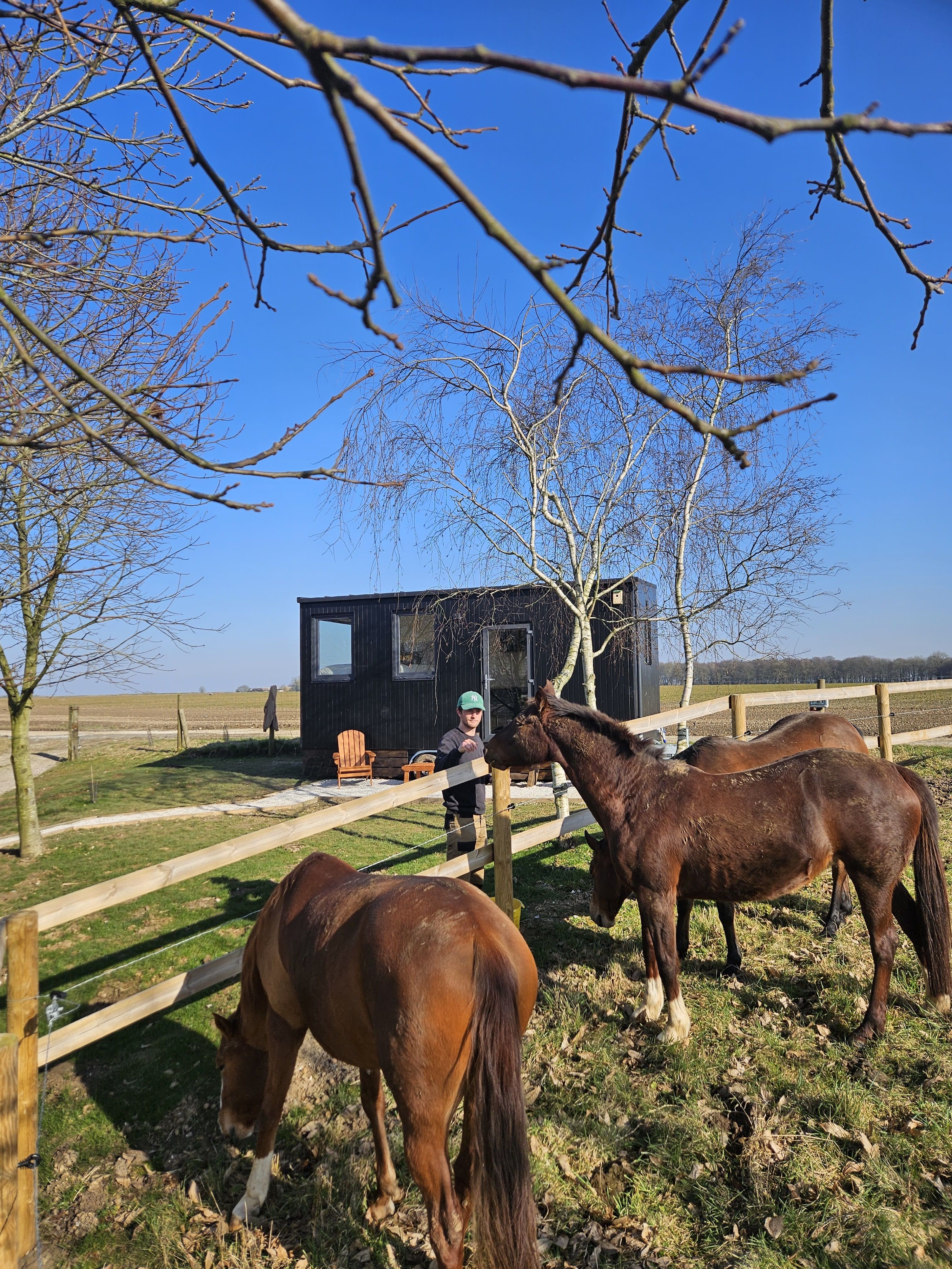 Tiny House Le Haras — Séjour ressourçant avec spa à Somme à Grand-Laviers — cuisine