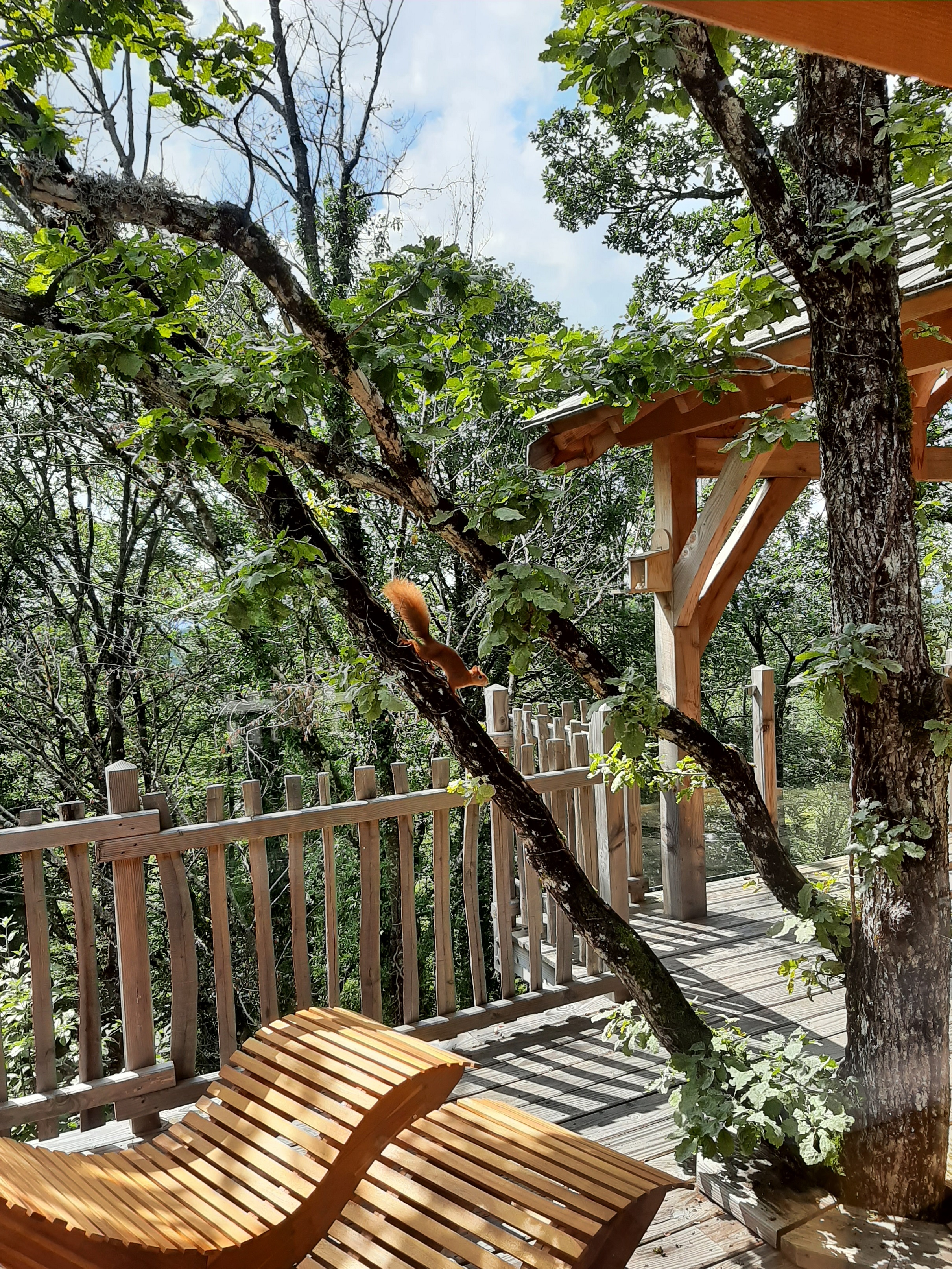 Cabane Spa Écureuil : une évasion dans les arbres en Franche-Comté à Bonlieu — détail architectural