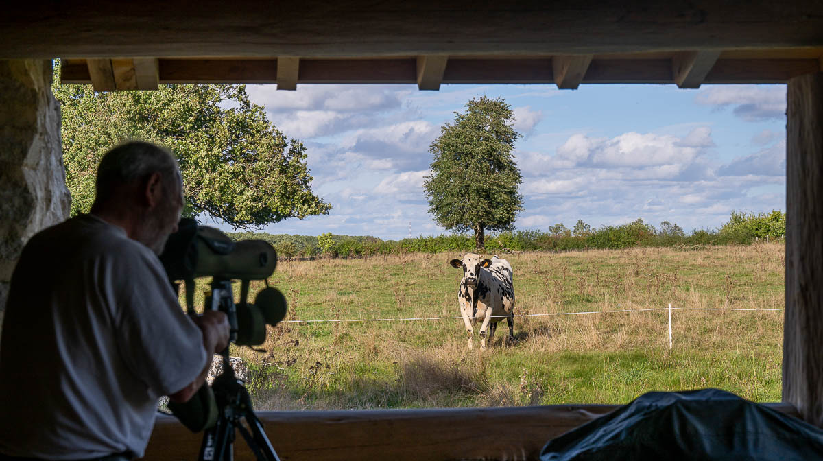 La Cabane Spa du Trappeur : une expérience unique en pleine nature à Chennegy — environnement naturel