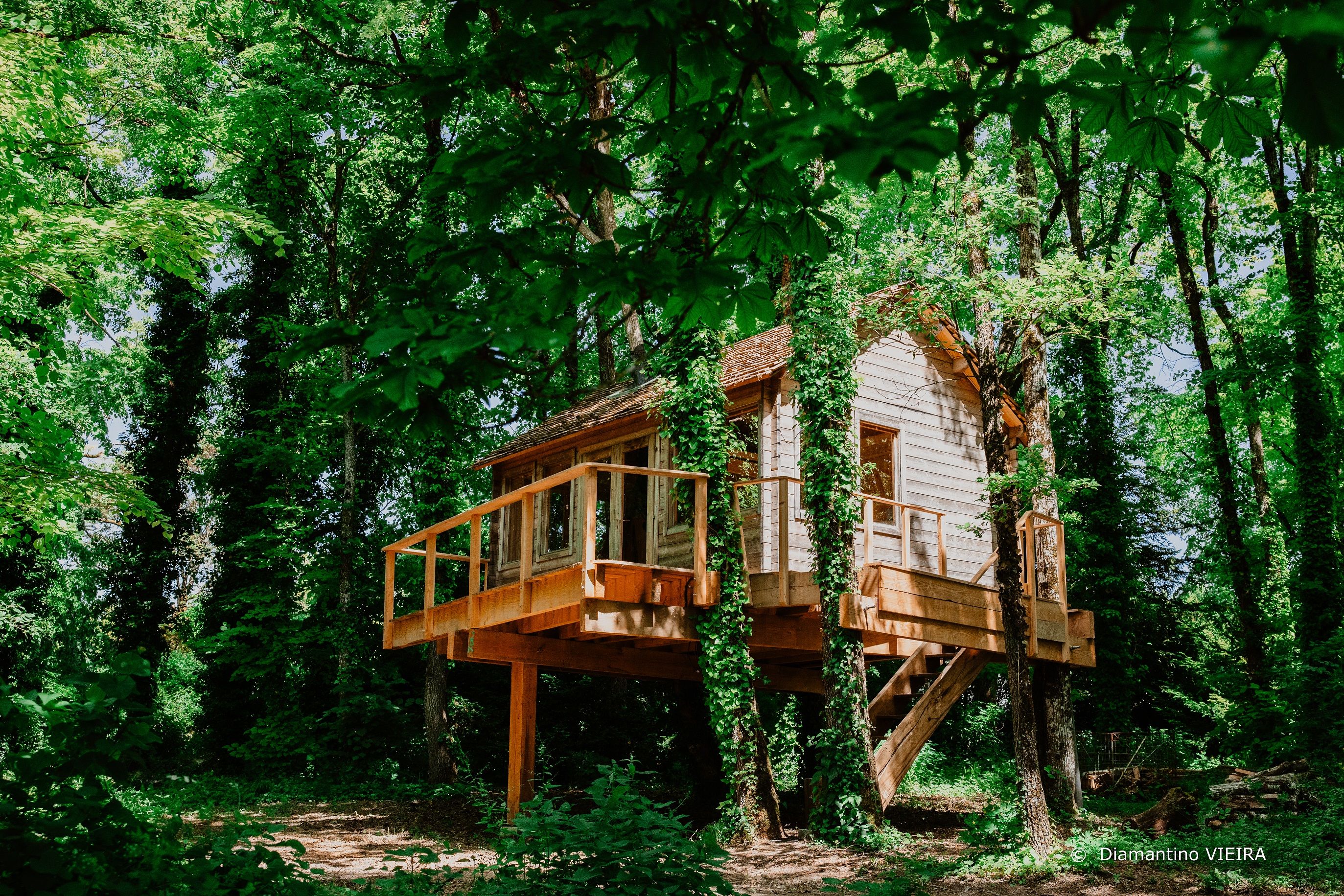 La Cabane de La Tortillère : une expérience suspendue dans les arbres à Marcay — espace de vie